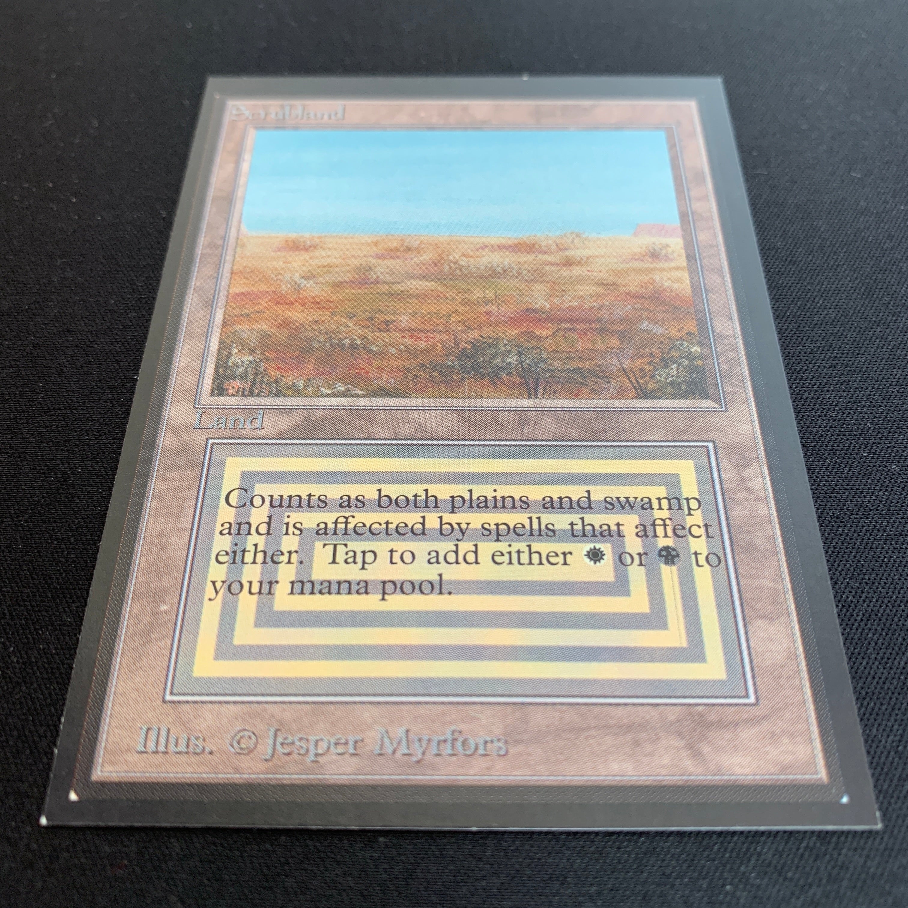 MTG Singles - Scrubland - International Edition -