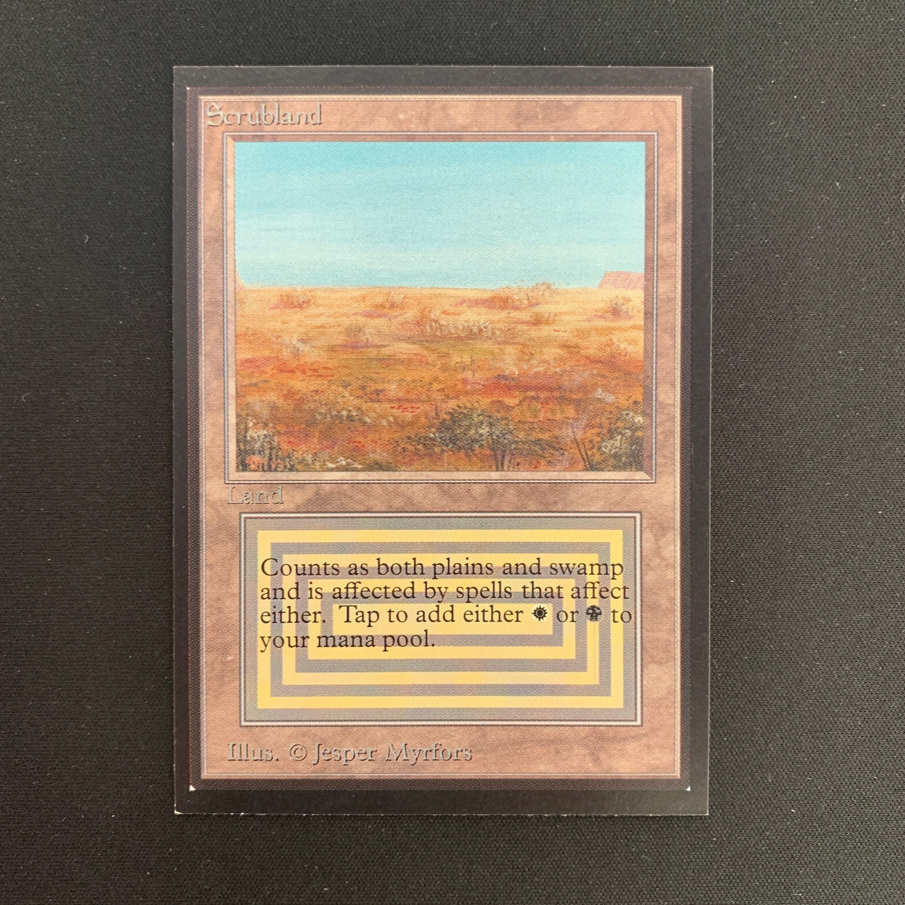 MTG Singles - Scrubland - International Edition -