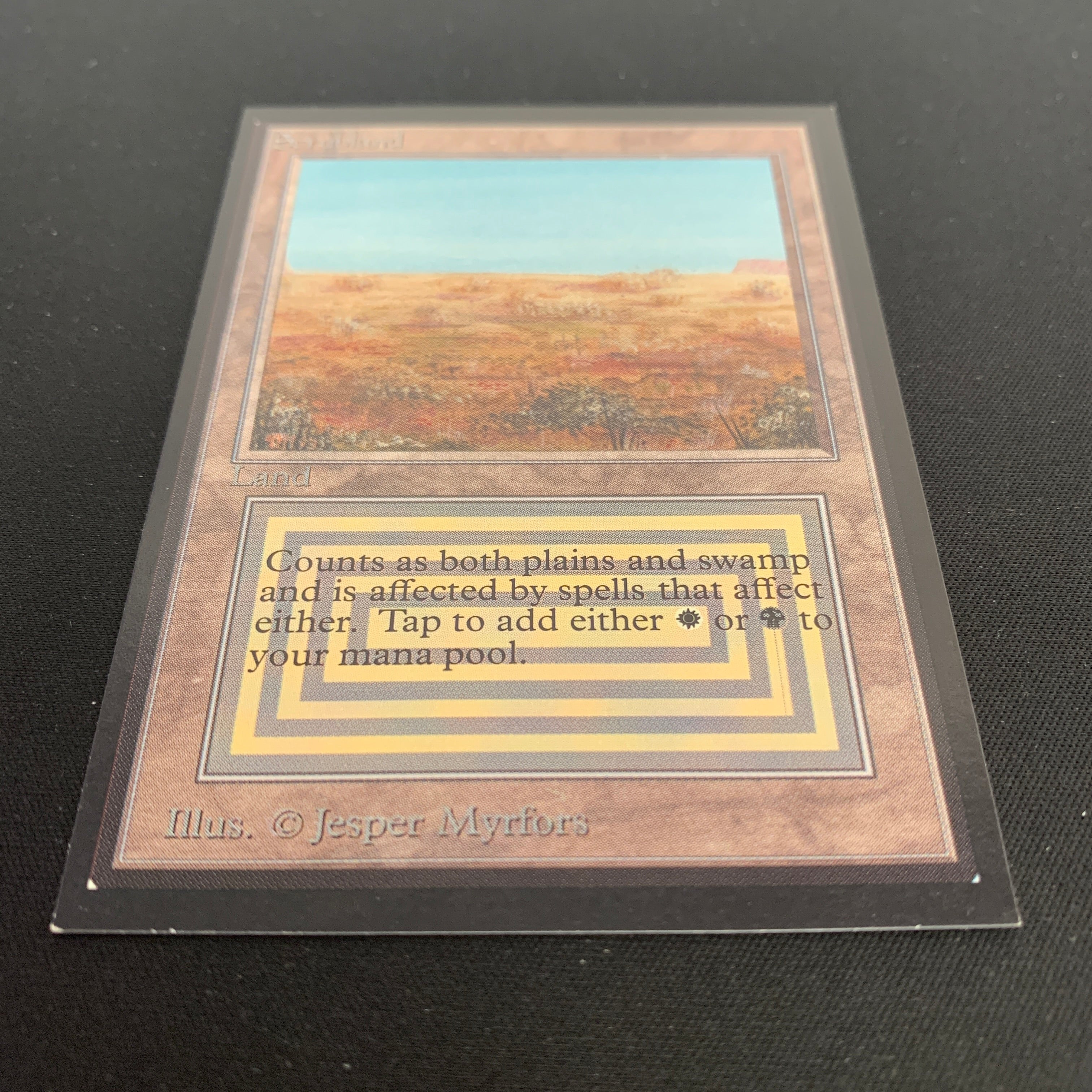 MTG Singles - Scrubland - International Edition -