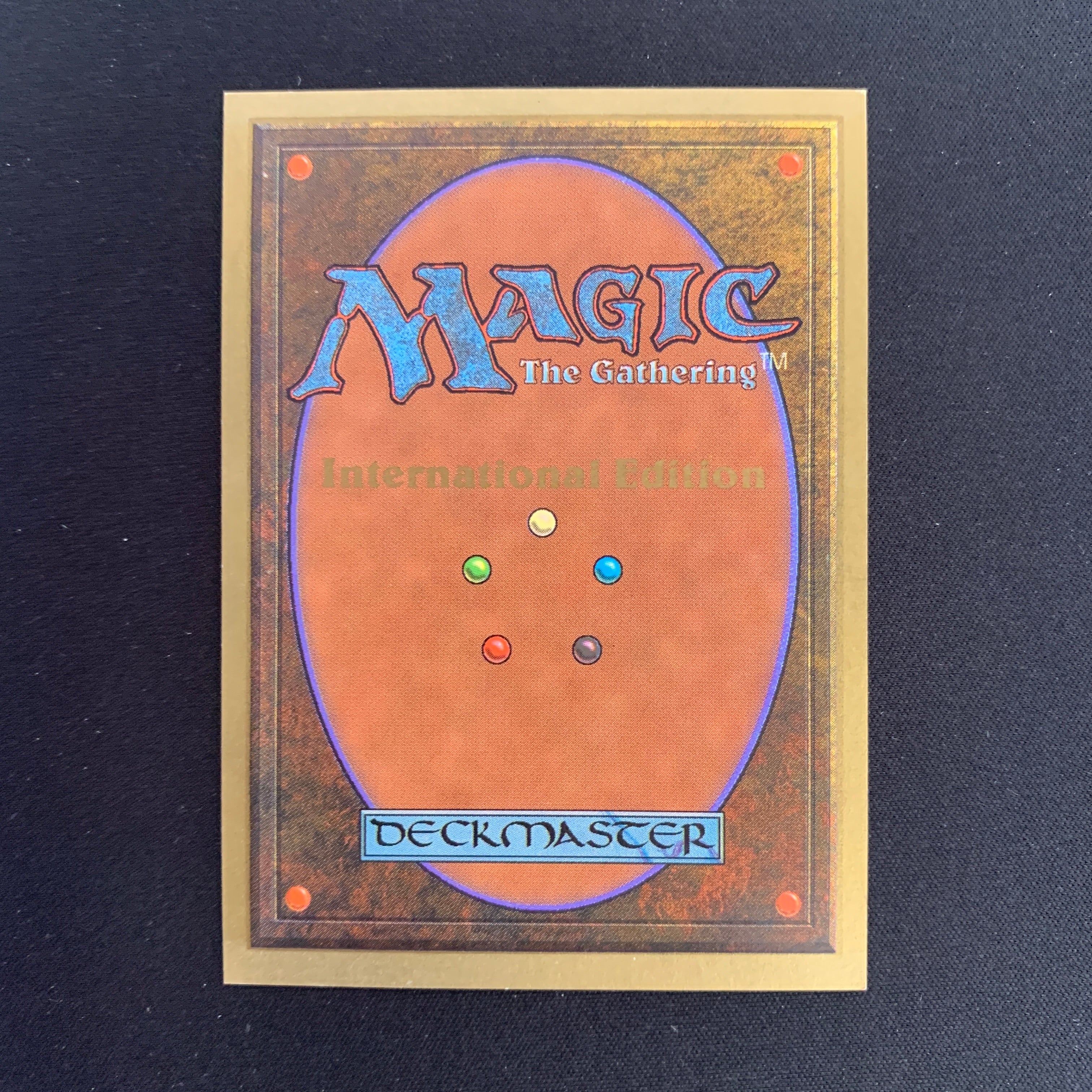 MTG Singles - Scrubland - International Edition -