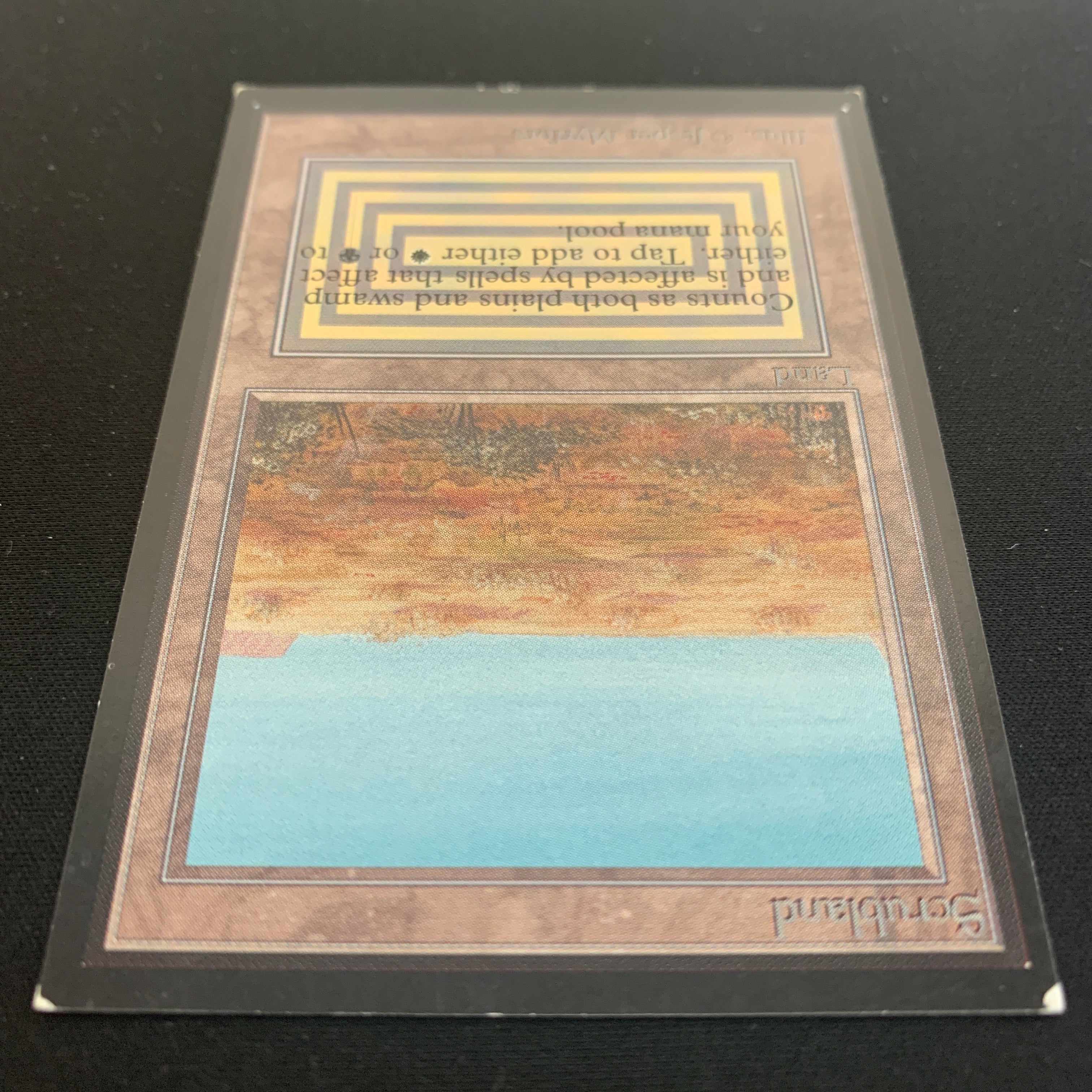 MTG Singles - Scrubland - International Edition -