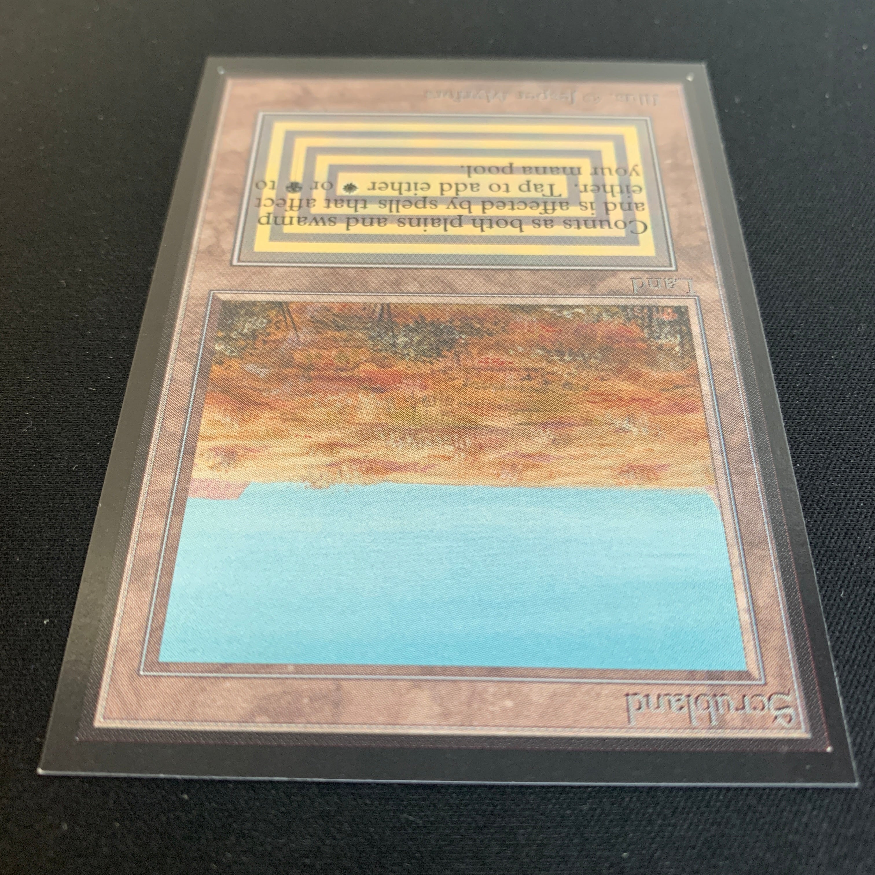 MTG Singles - Scrubland - International Edition -