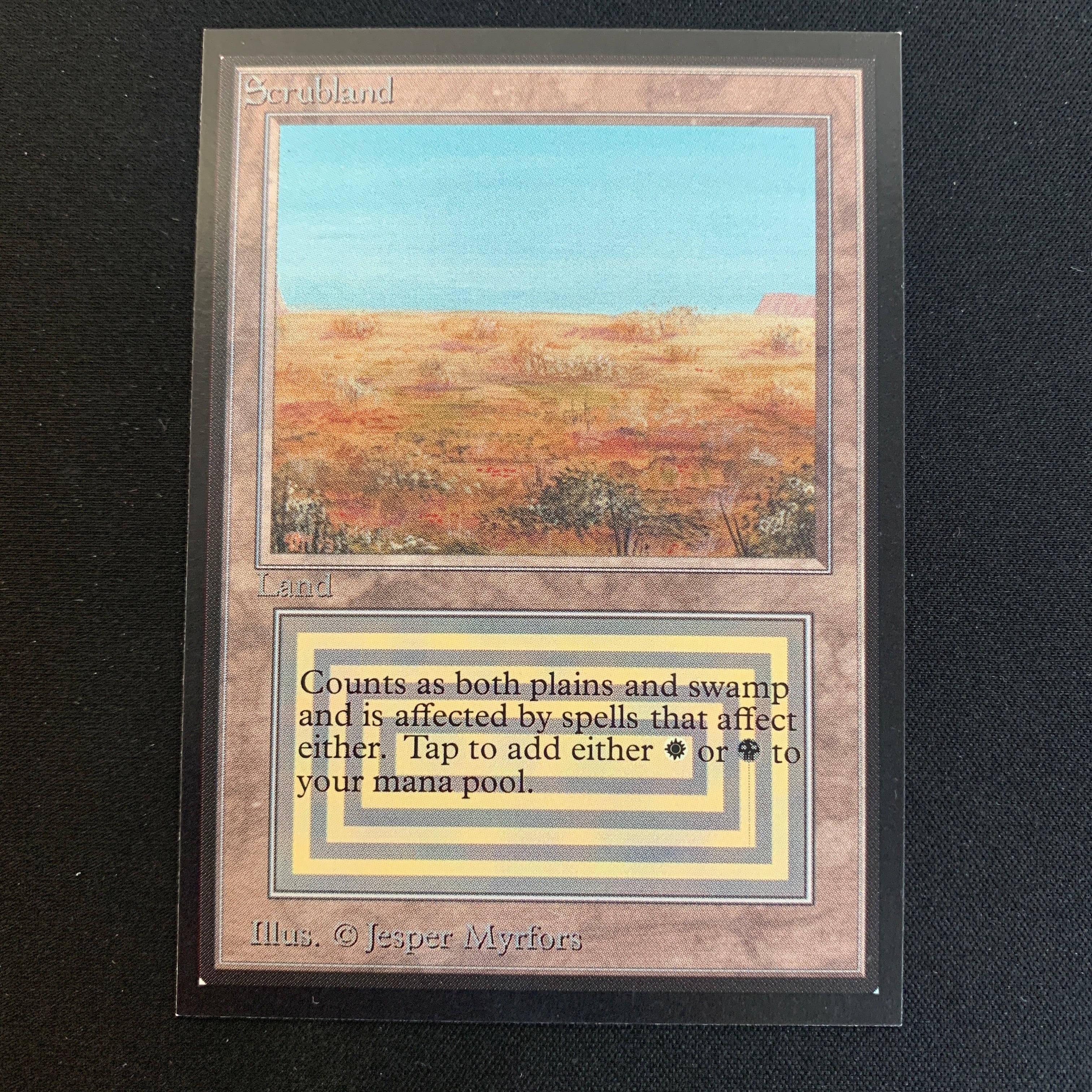 MTG Singles - Scrubland - International Edition -