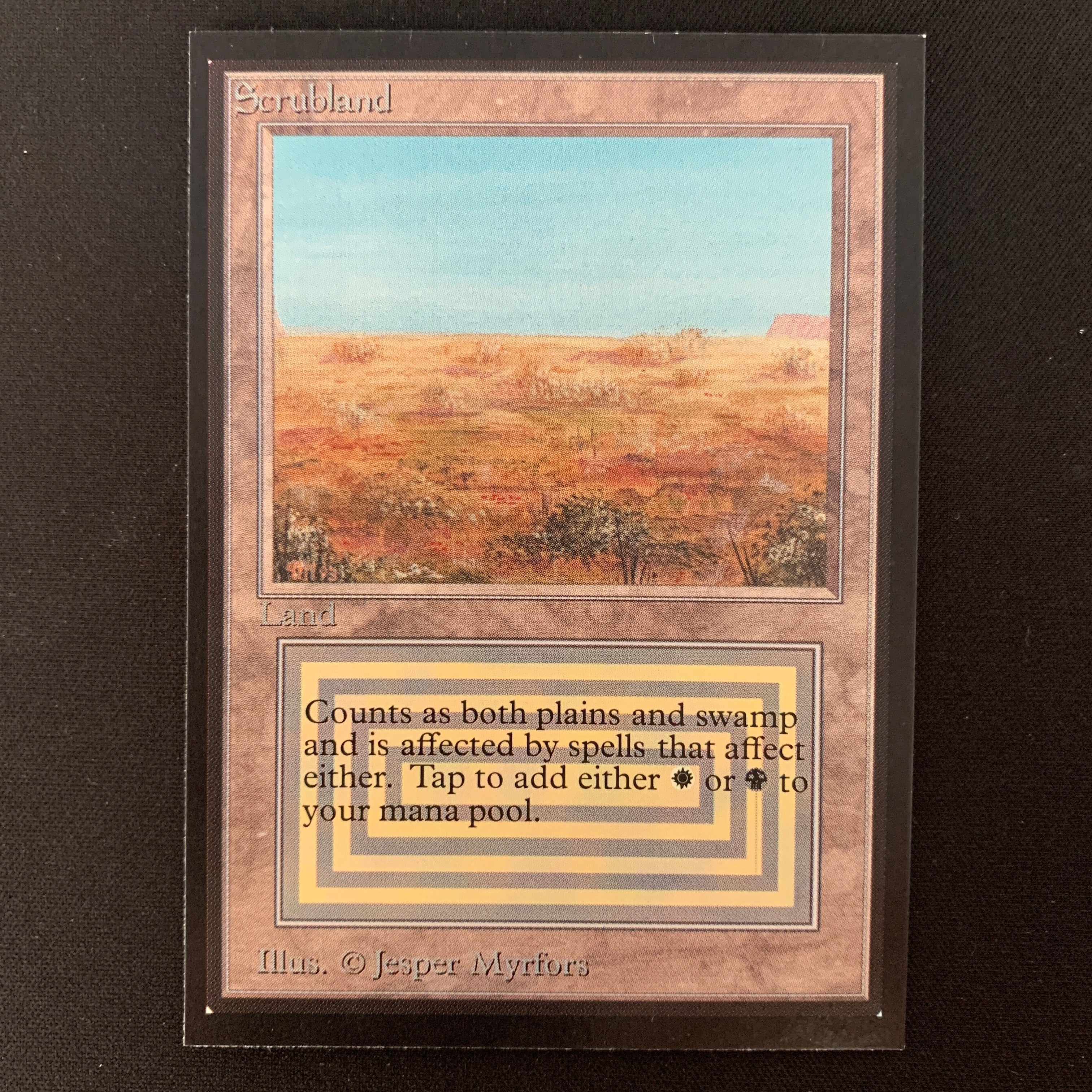 MTG Singles - Scrubland - International Edition -