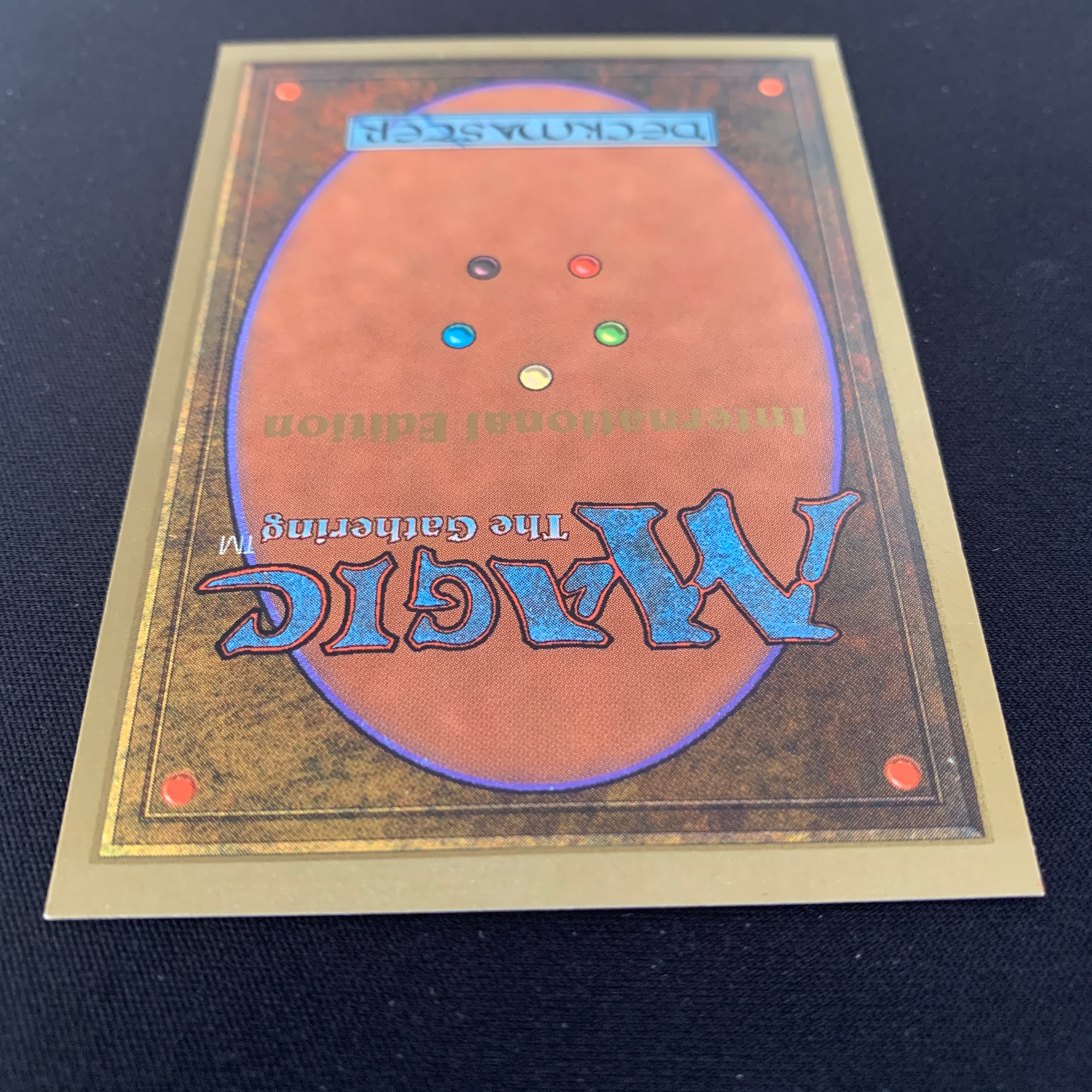 MTG Singles - Scrubland - International Edition -