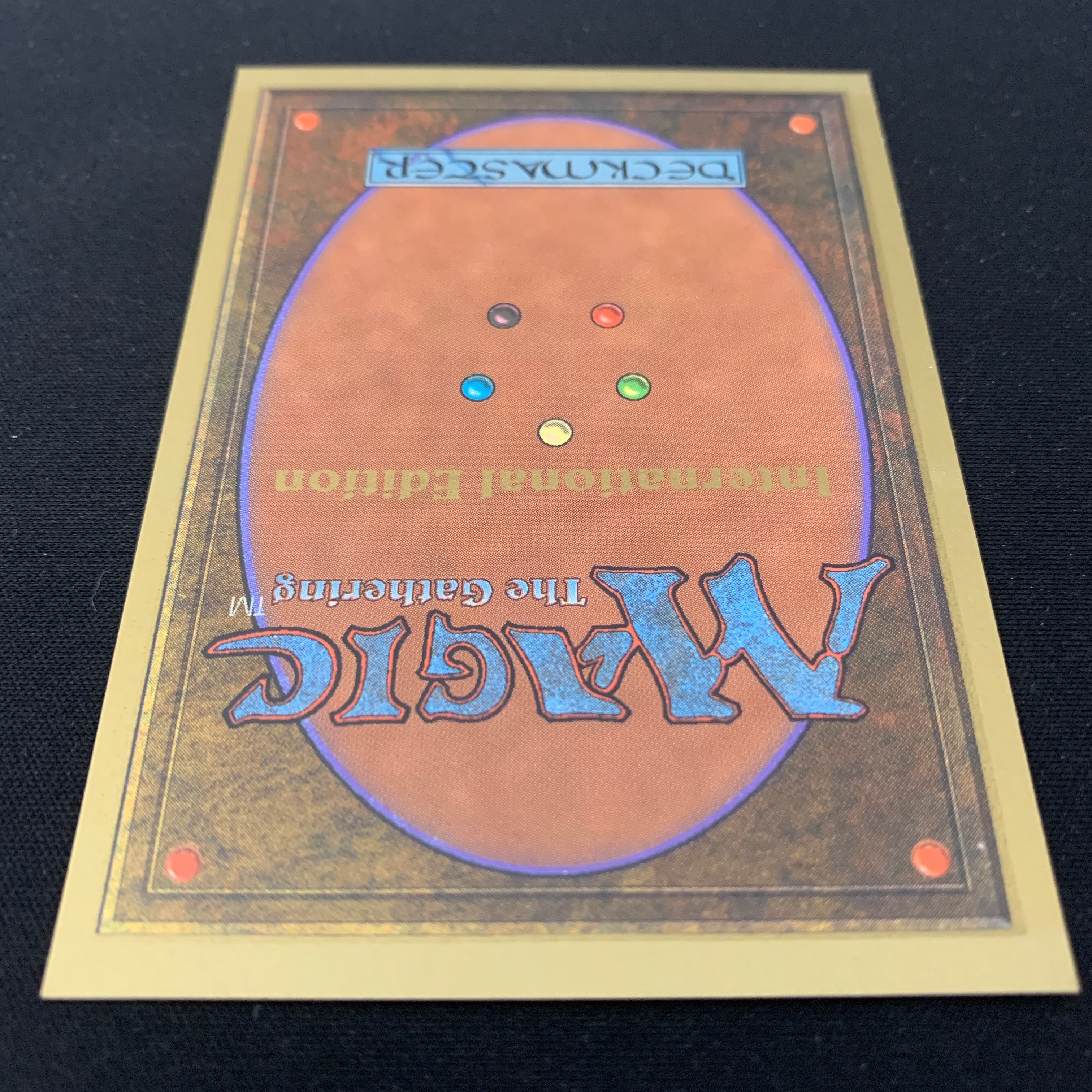 MTG Singles - Scrubland - International Edition -