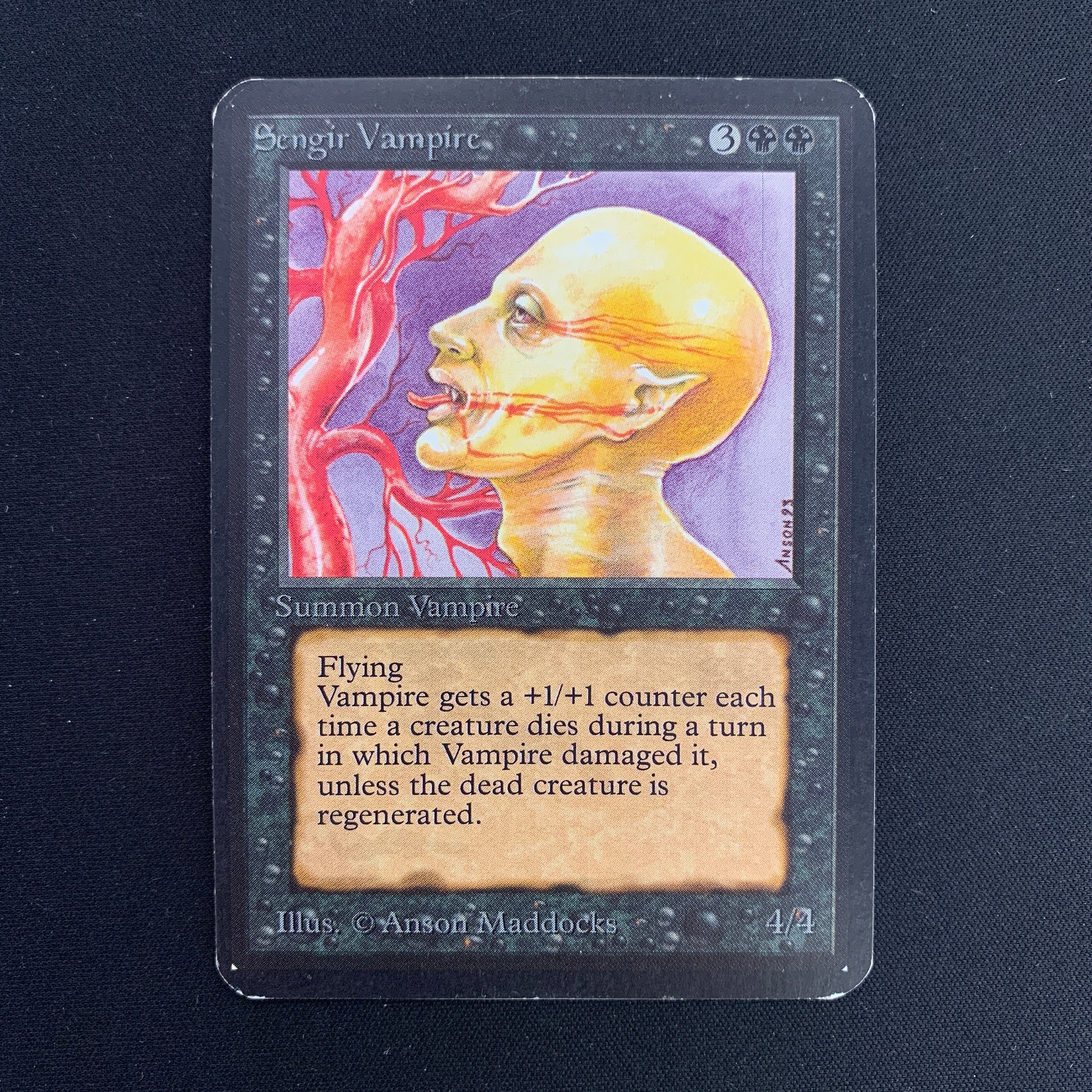 MTG Singles - Sengir Vampire - Alpha -