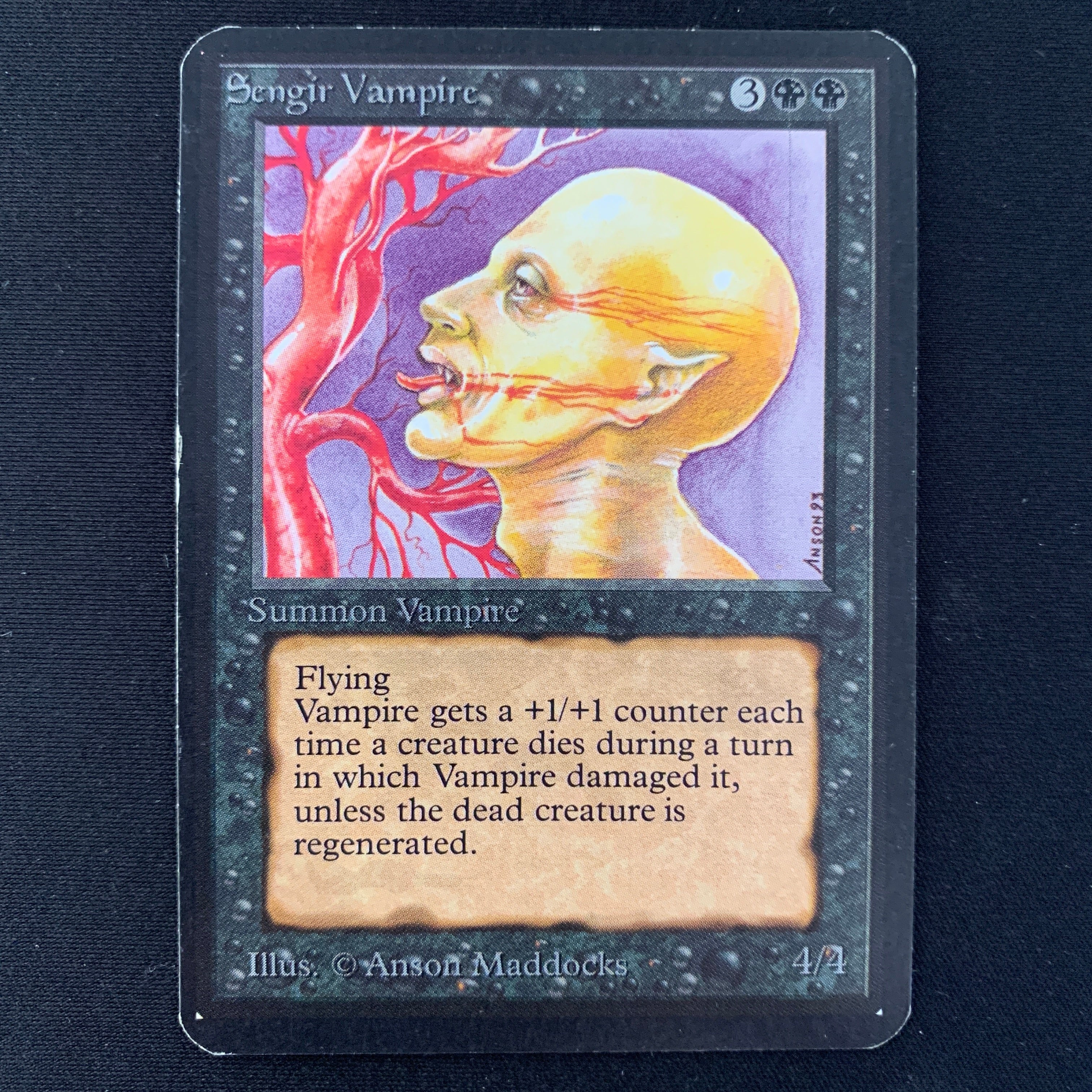 MTG Singles - Sengir Vampire - Alpha -