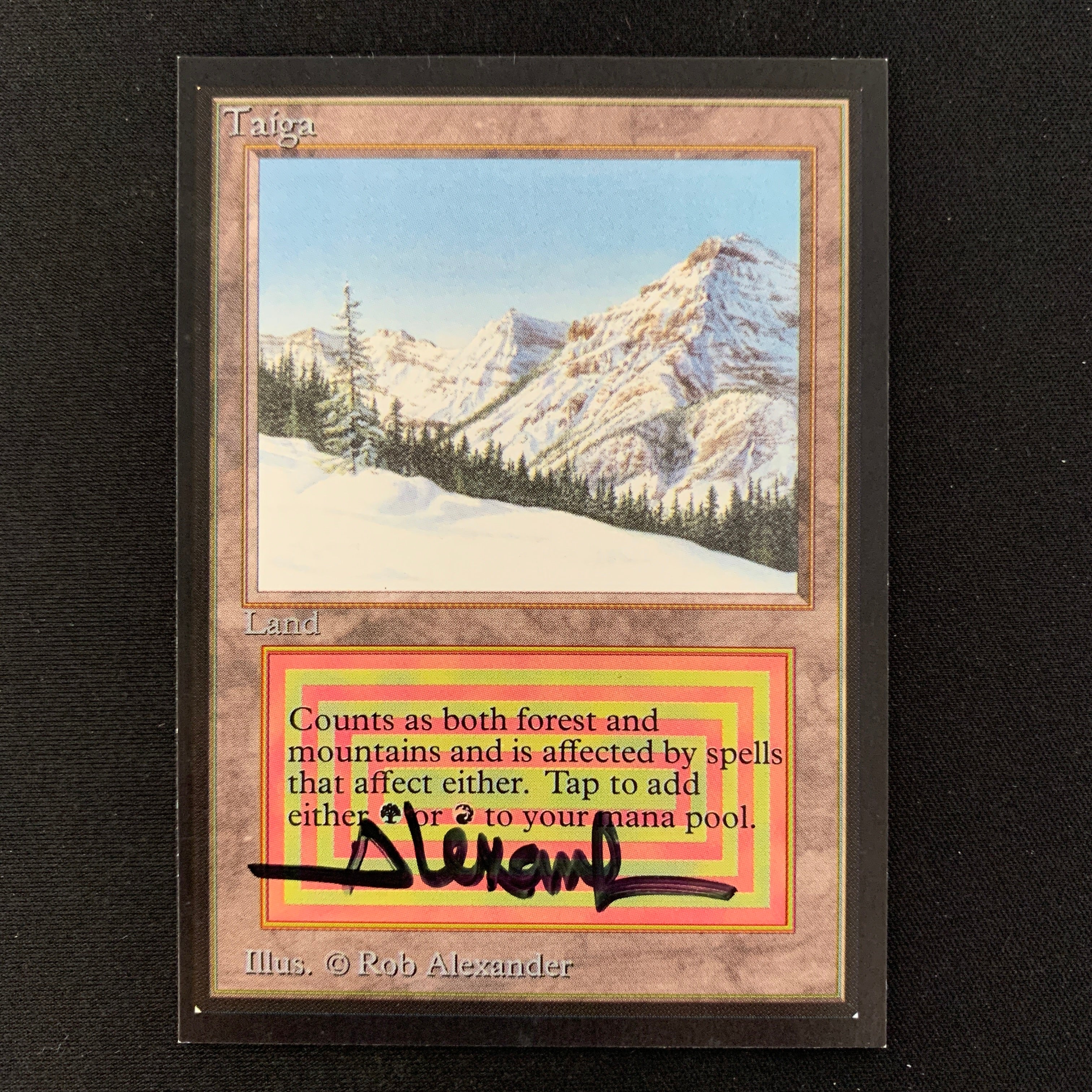 MTG Singles - Taiga - Collectors' Edition -