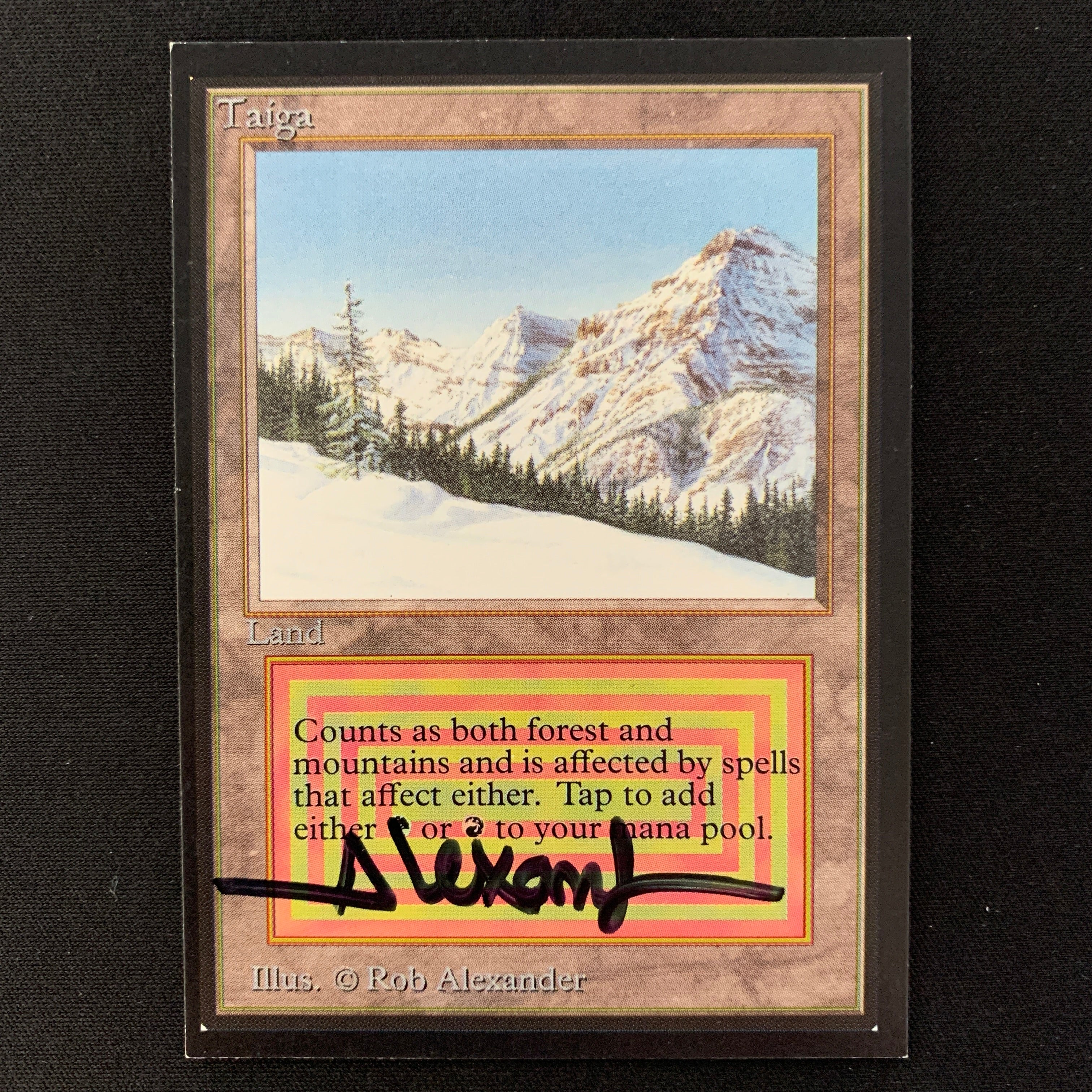 MTG Singles - Taiga - Collectors' Edition -