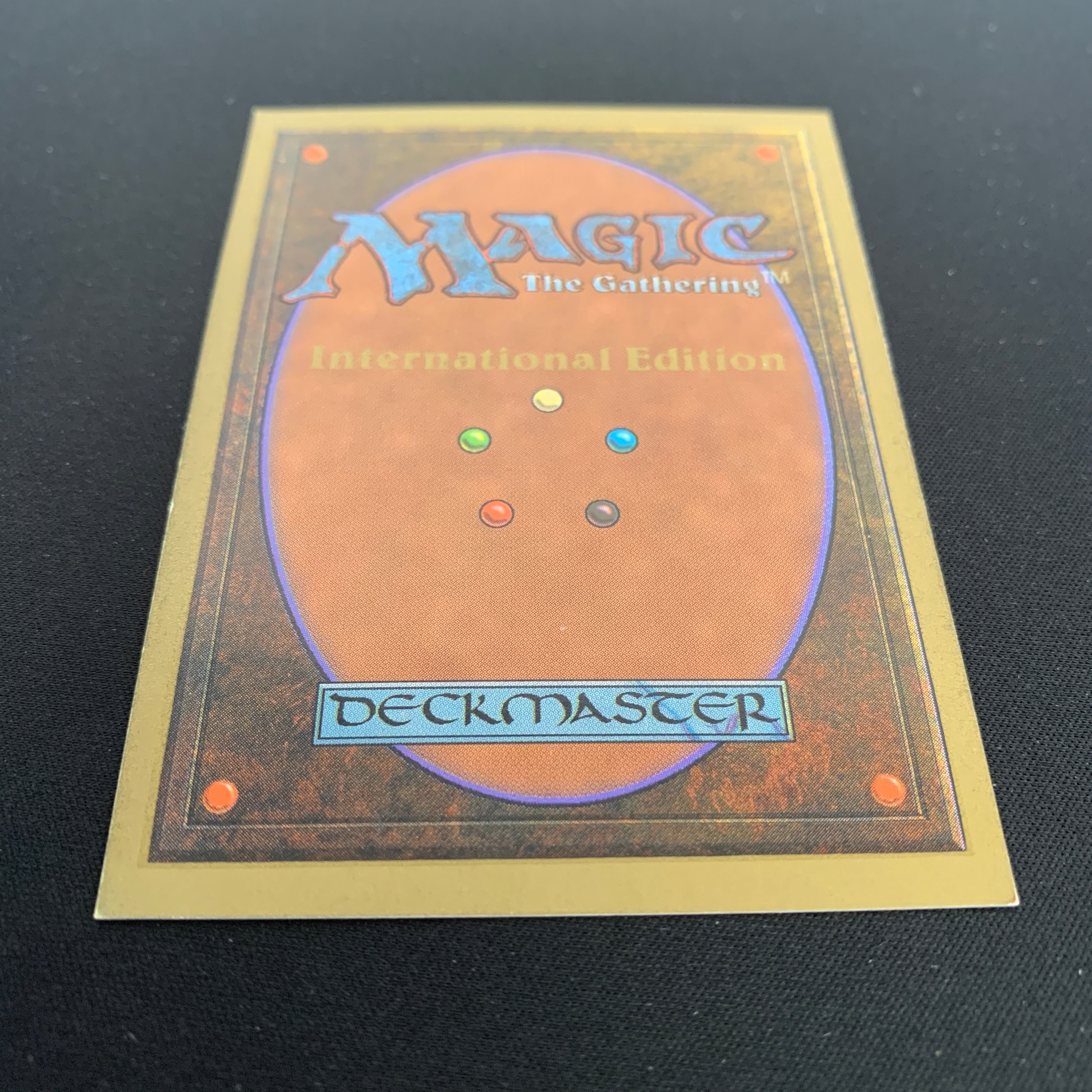 MTG Singles - Taiga - International Edition -