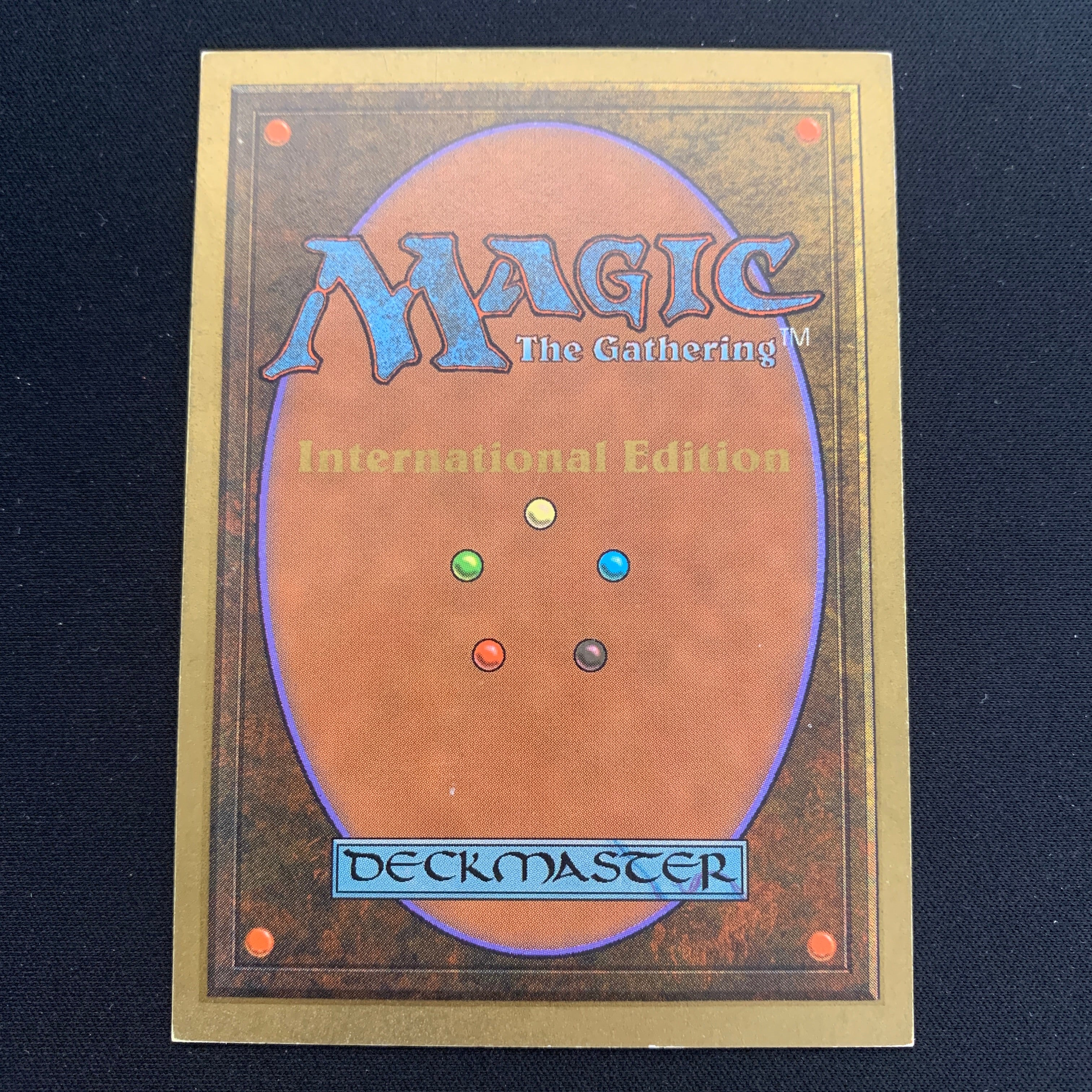 MTG Singles - Taiga - International Edition -