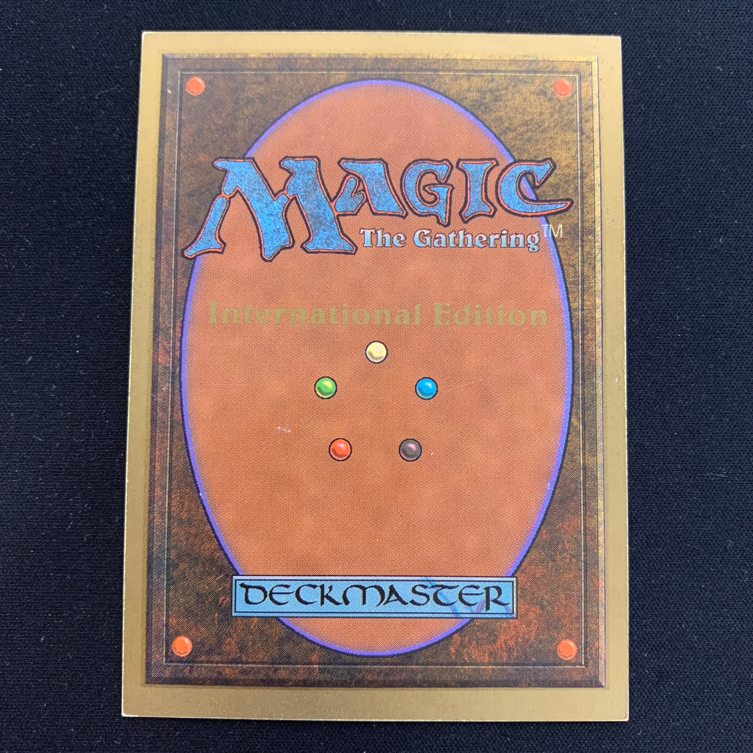 MTG Singles - Taiga - International Edition -