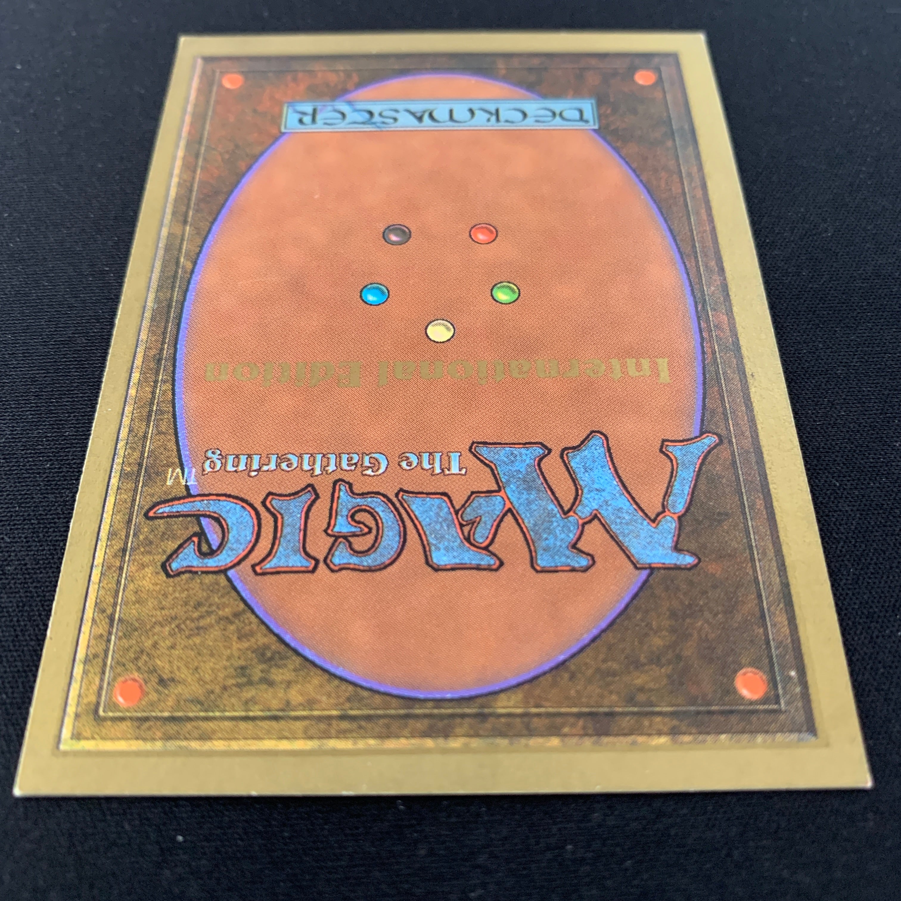 MTG Singles - Taiga - International Edition -