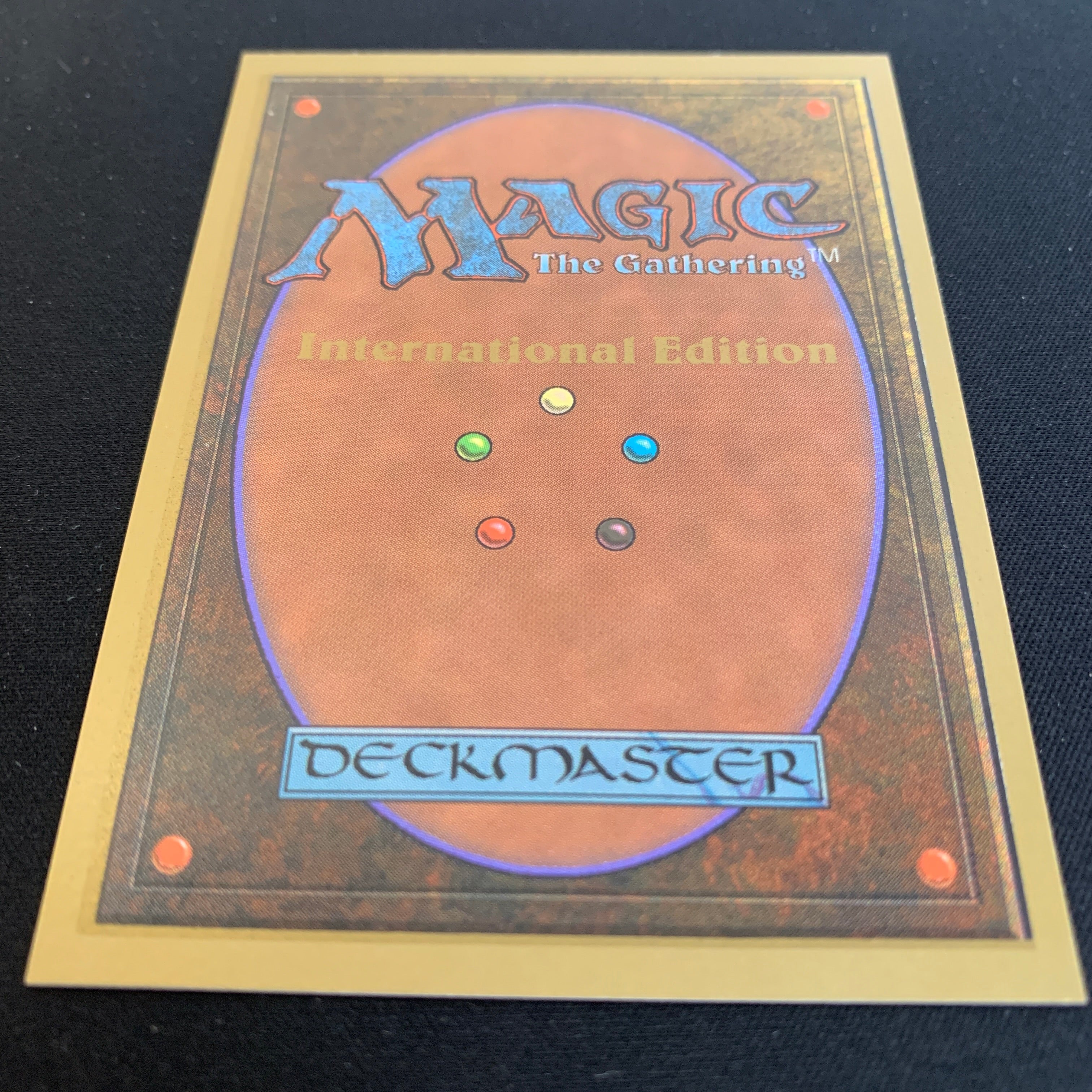 MTG Singles - Taiga - International Edition -