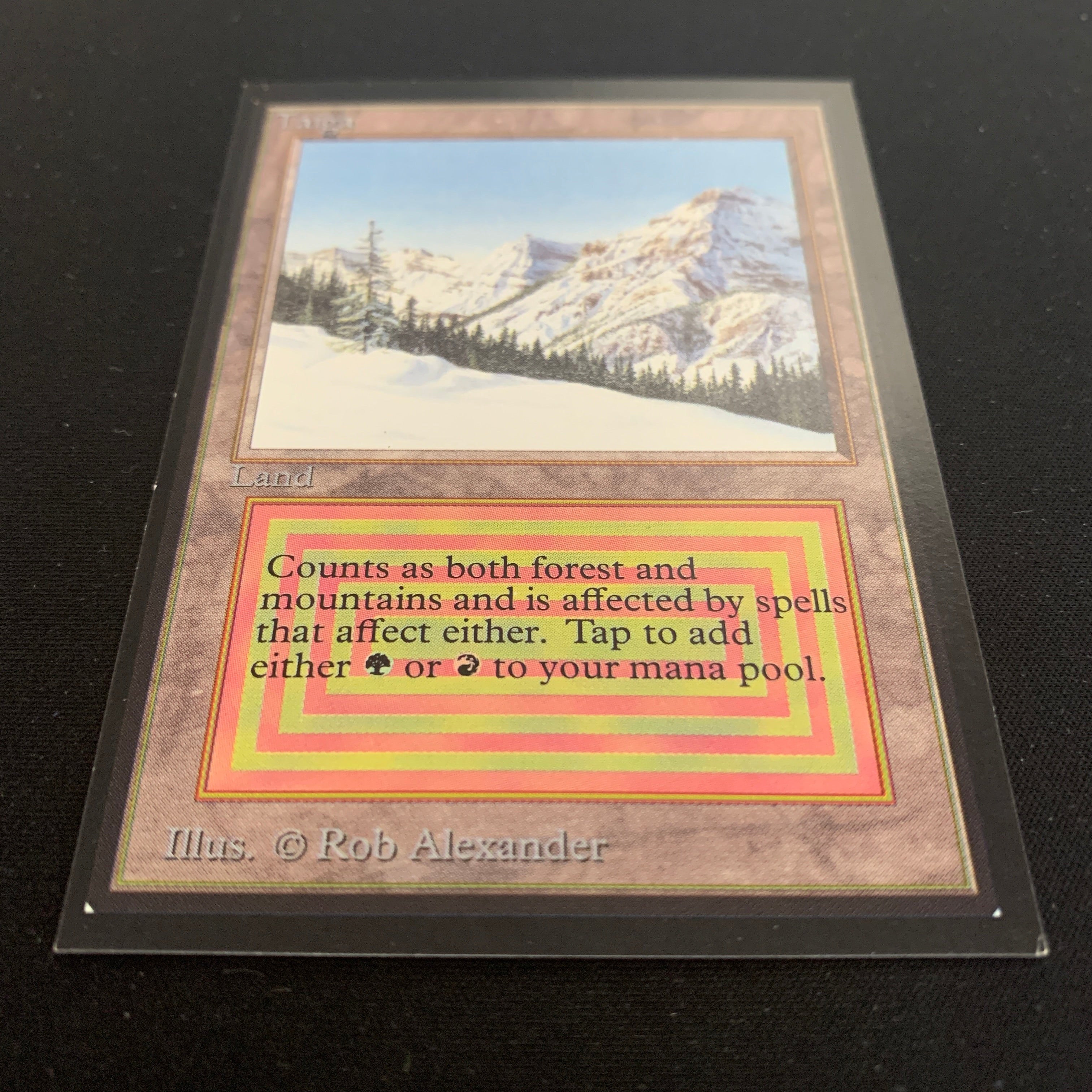 MTG Singles - Taiga - International Edition -