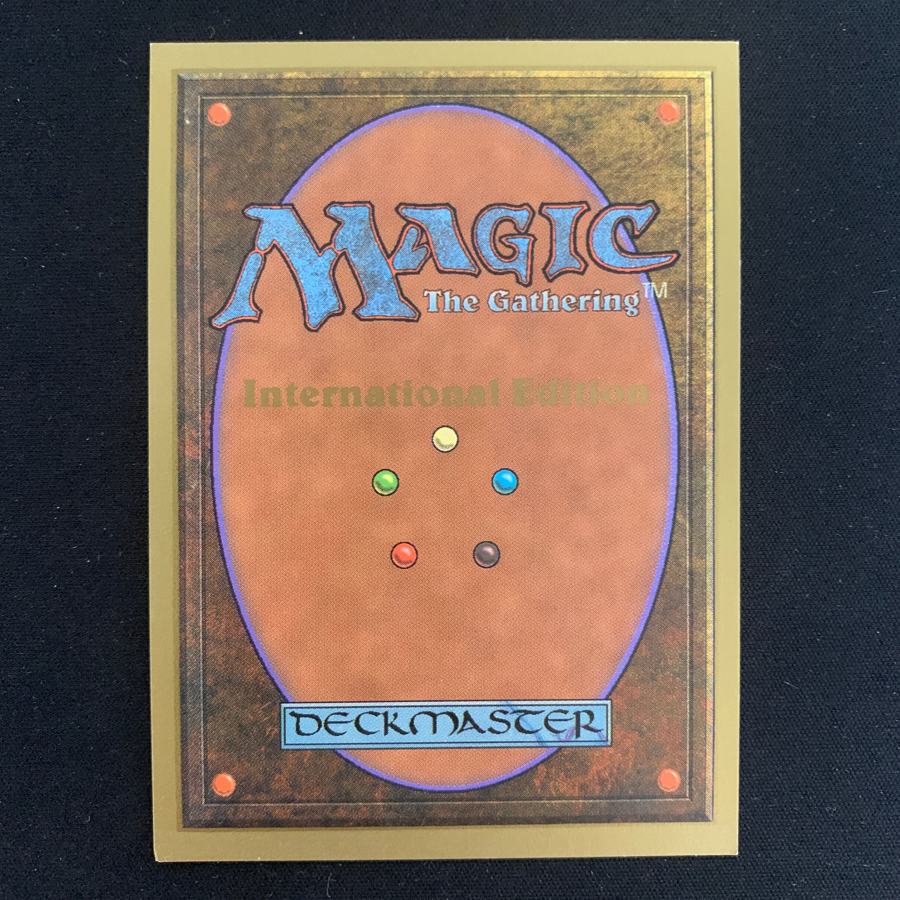 MTG Singles - Taiga - International Edition -
