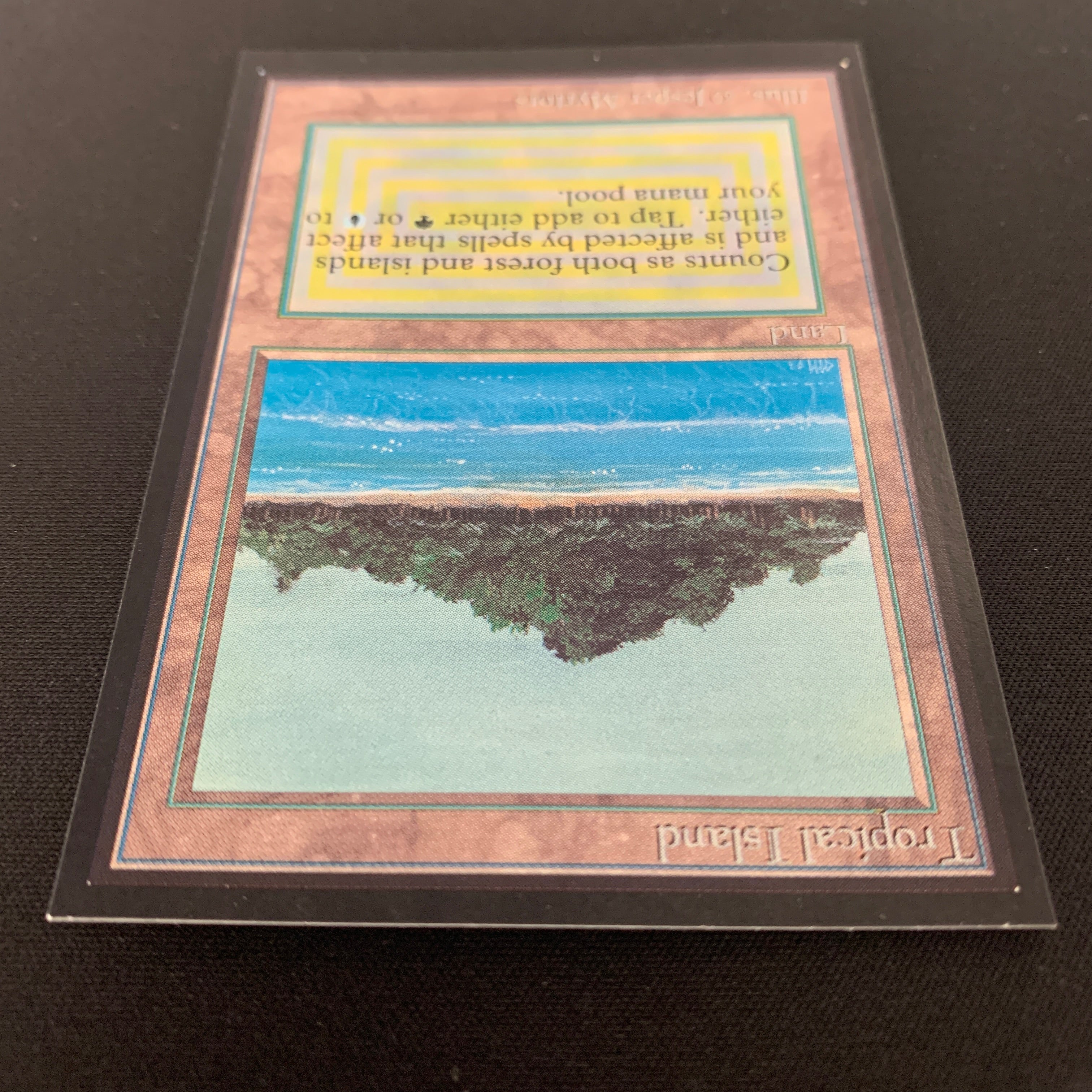 MTG Singles - Tropical Island - International Edition -