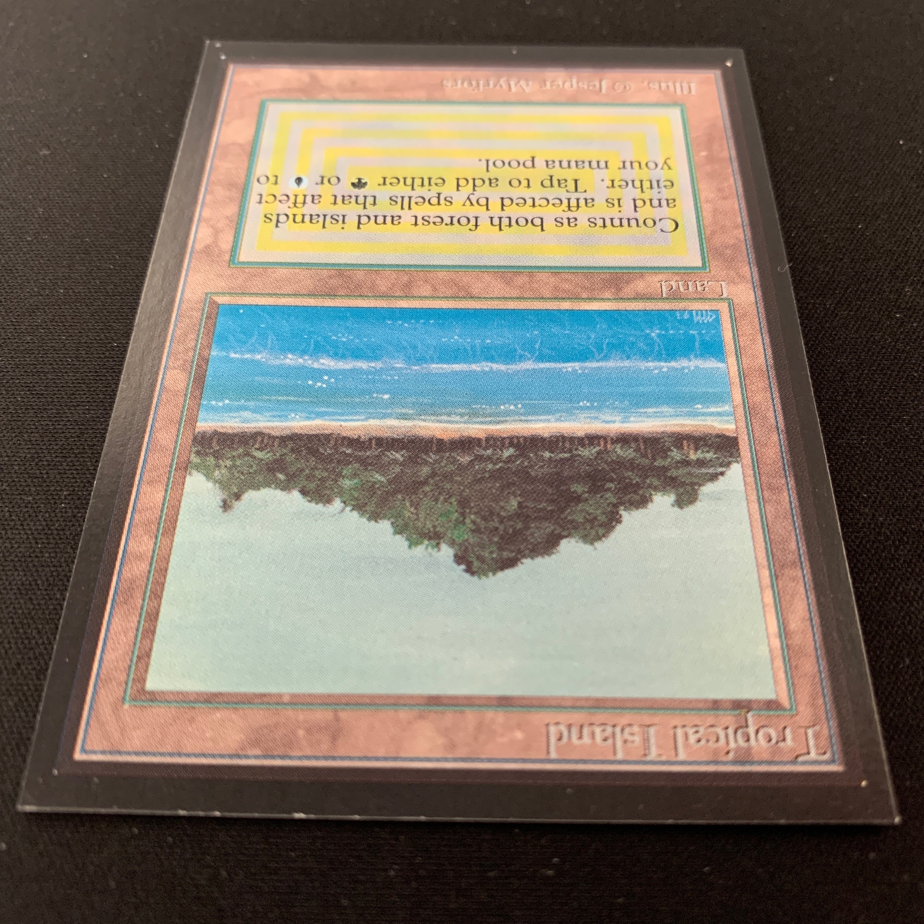 MTG Singles - Tropical Island - International Edition -