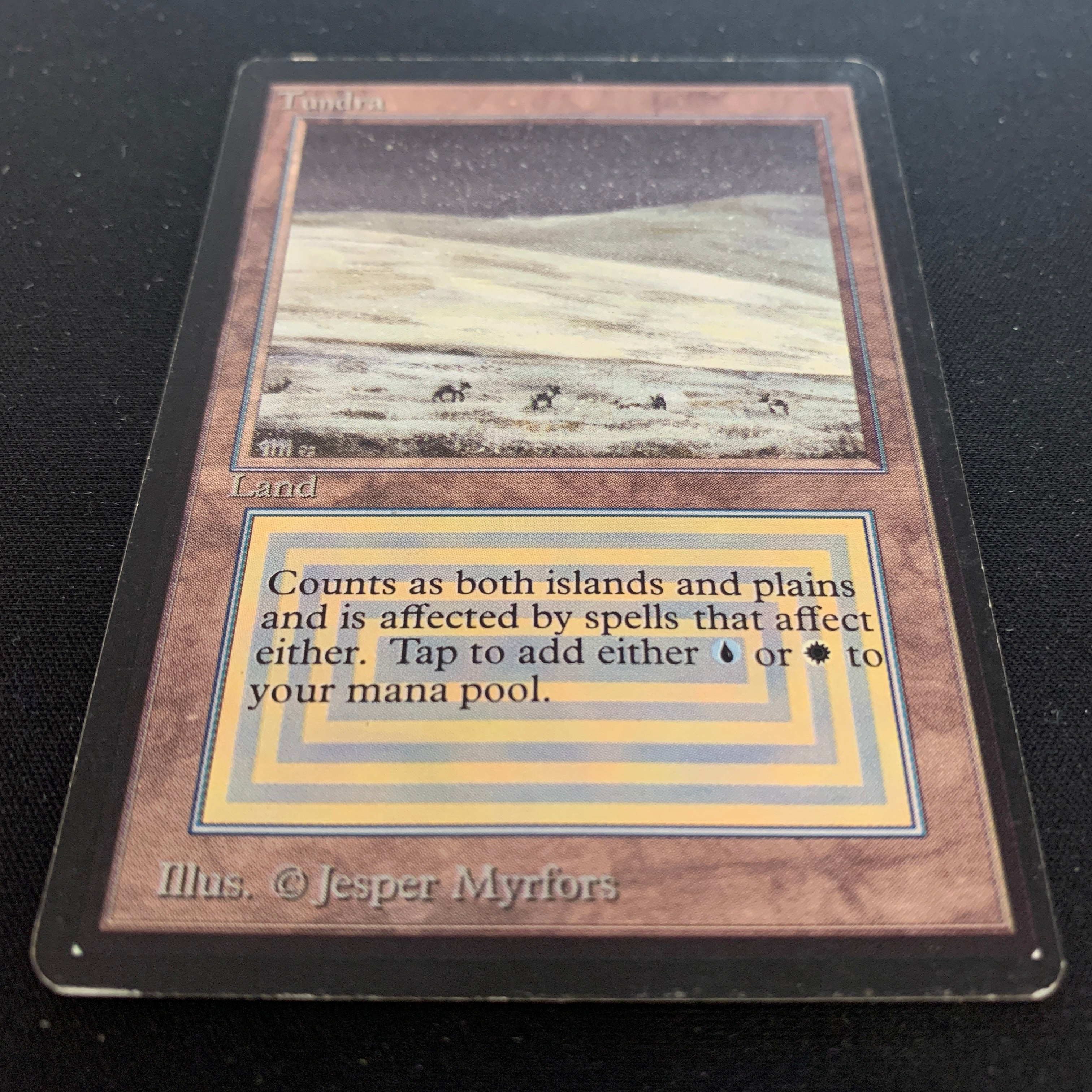 MTG Singles - Tundra - Beta -