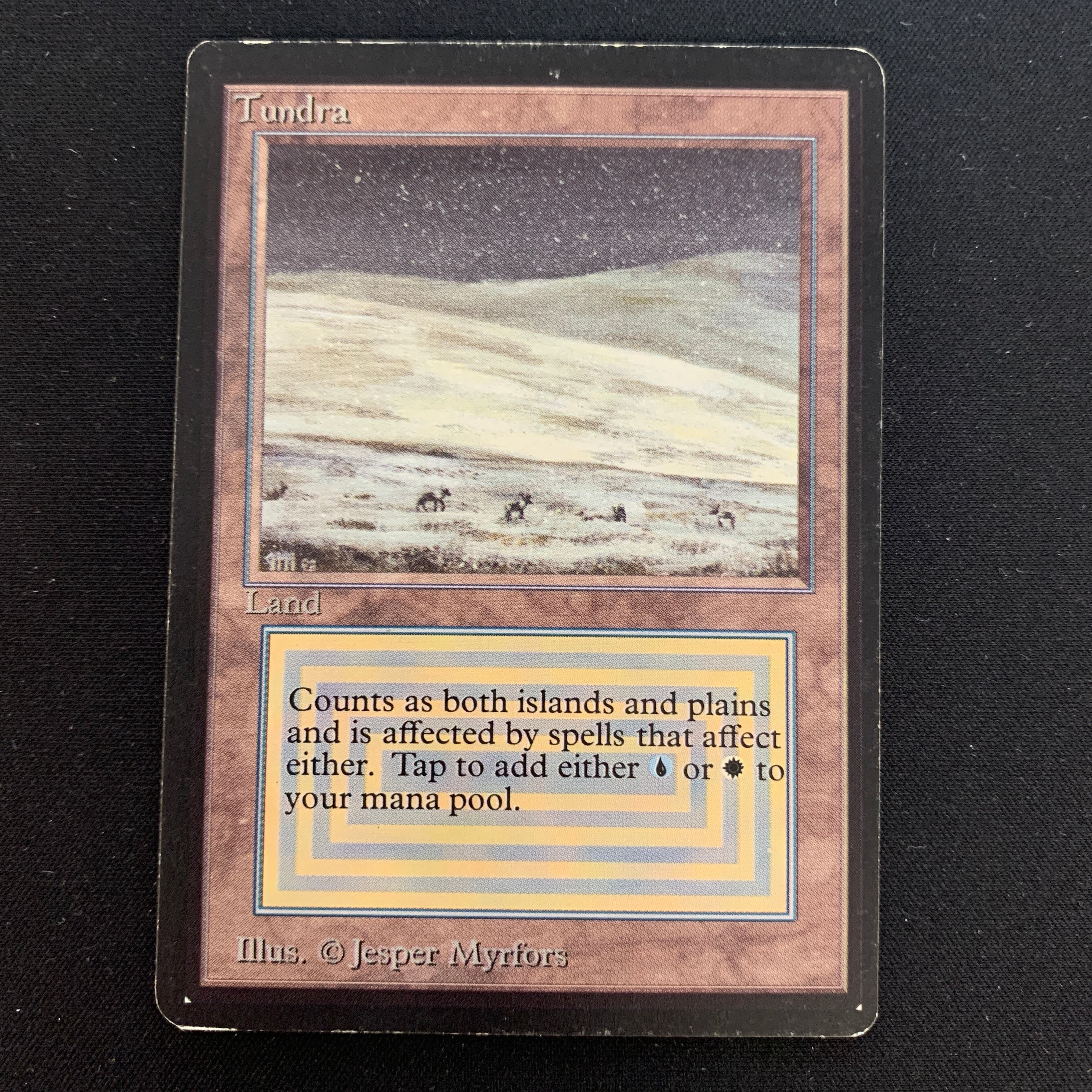 MTG Singles - Tundra - Beta -