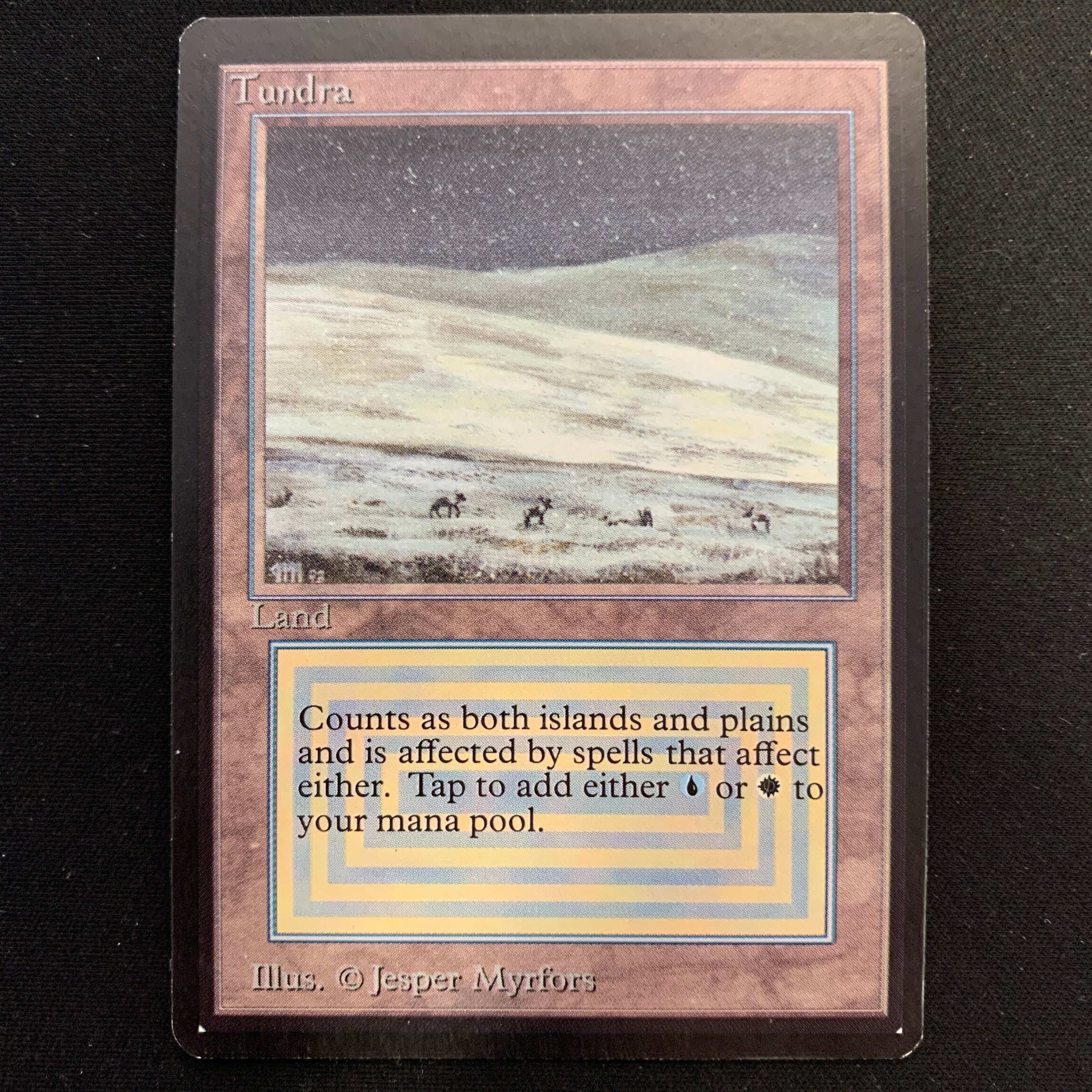 MTG Singles - Tundra - Beta -