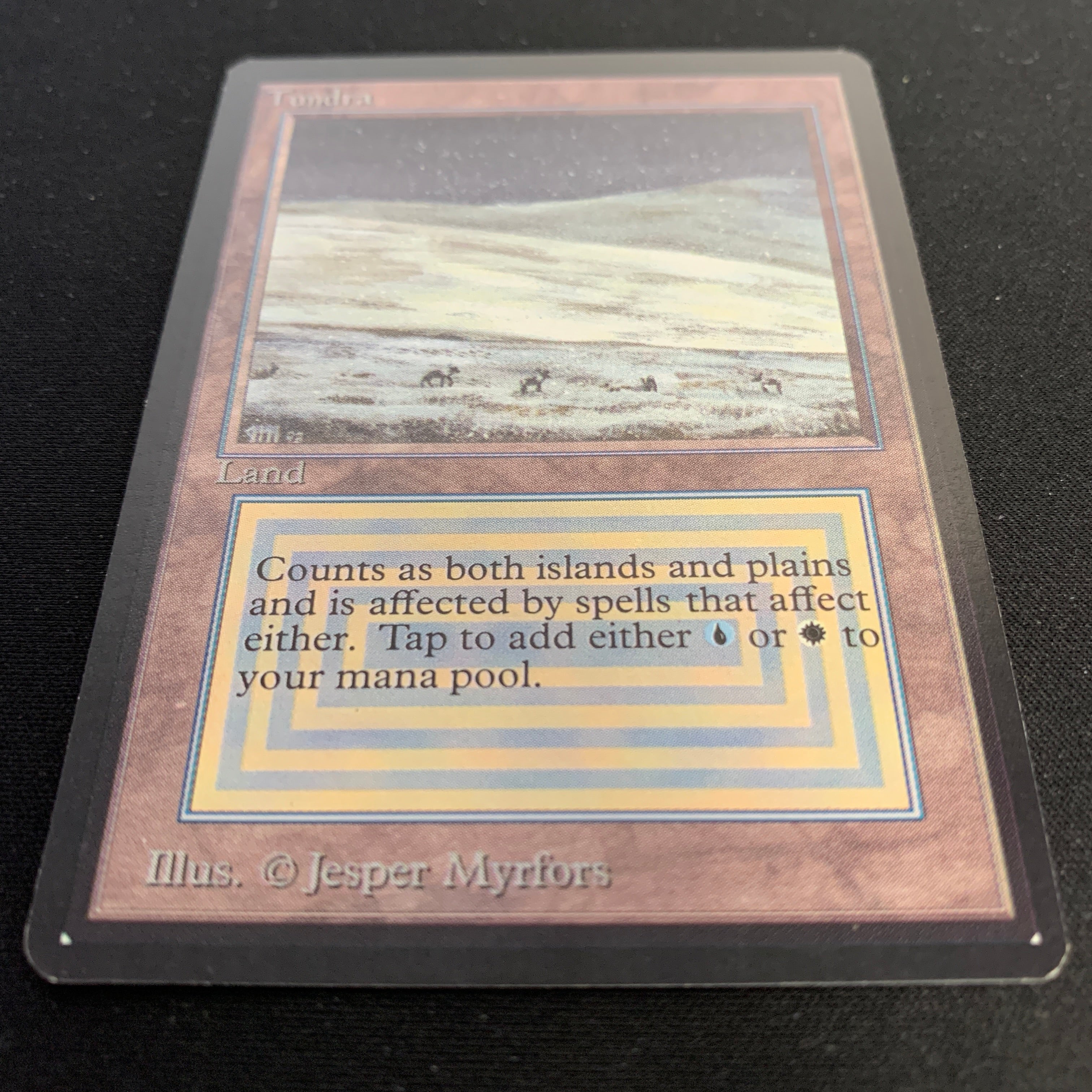 MTG Singles - Tundra - Beta -