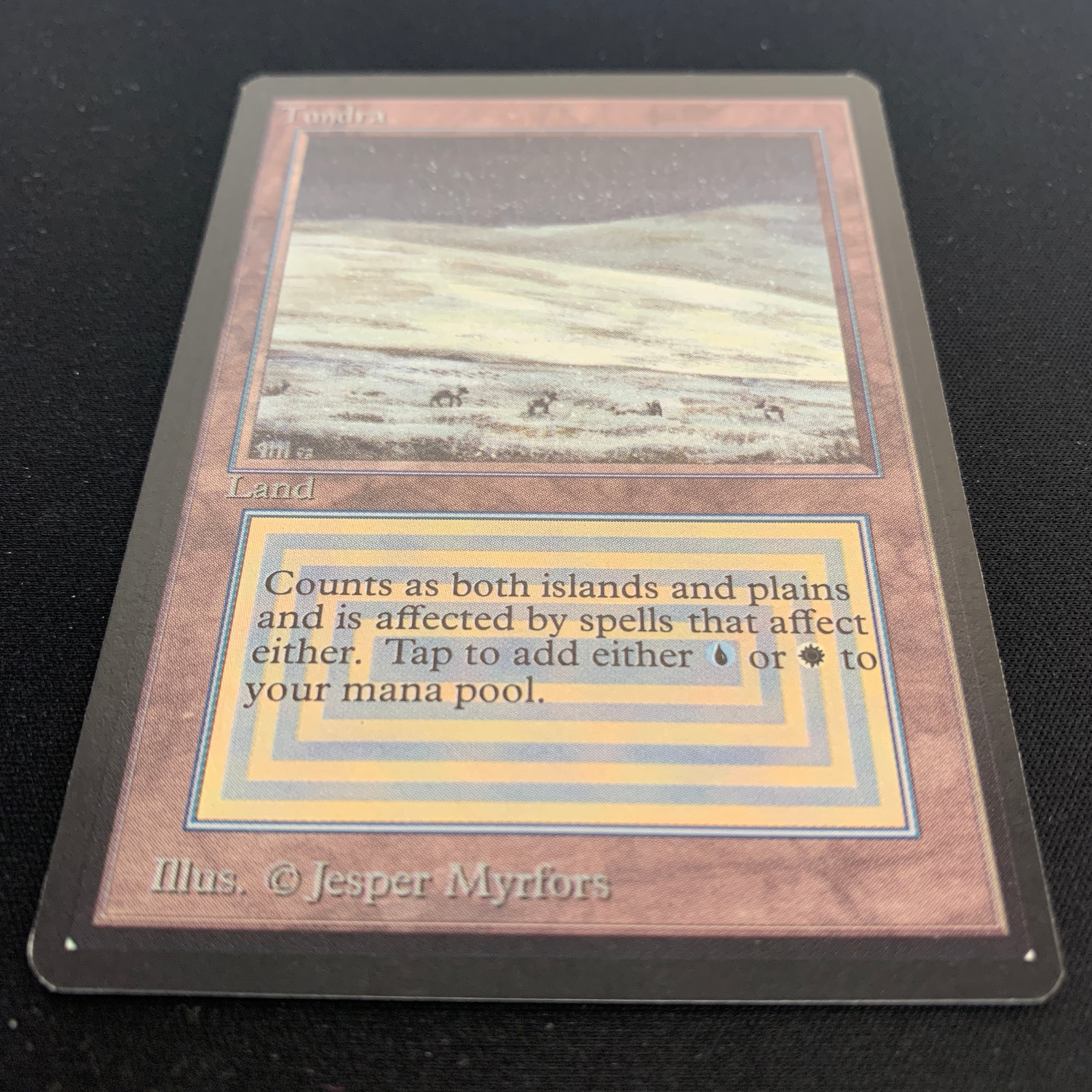 MTG Singles - Tundra - Beta -