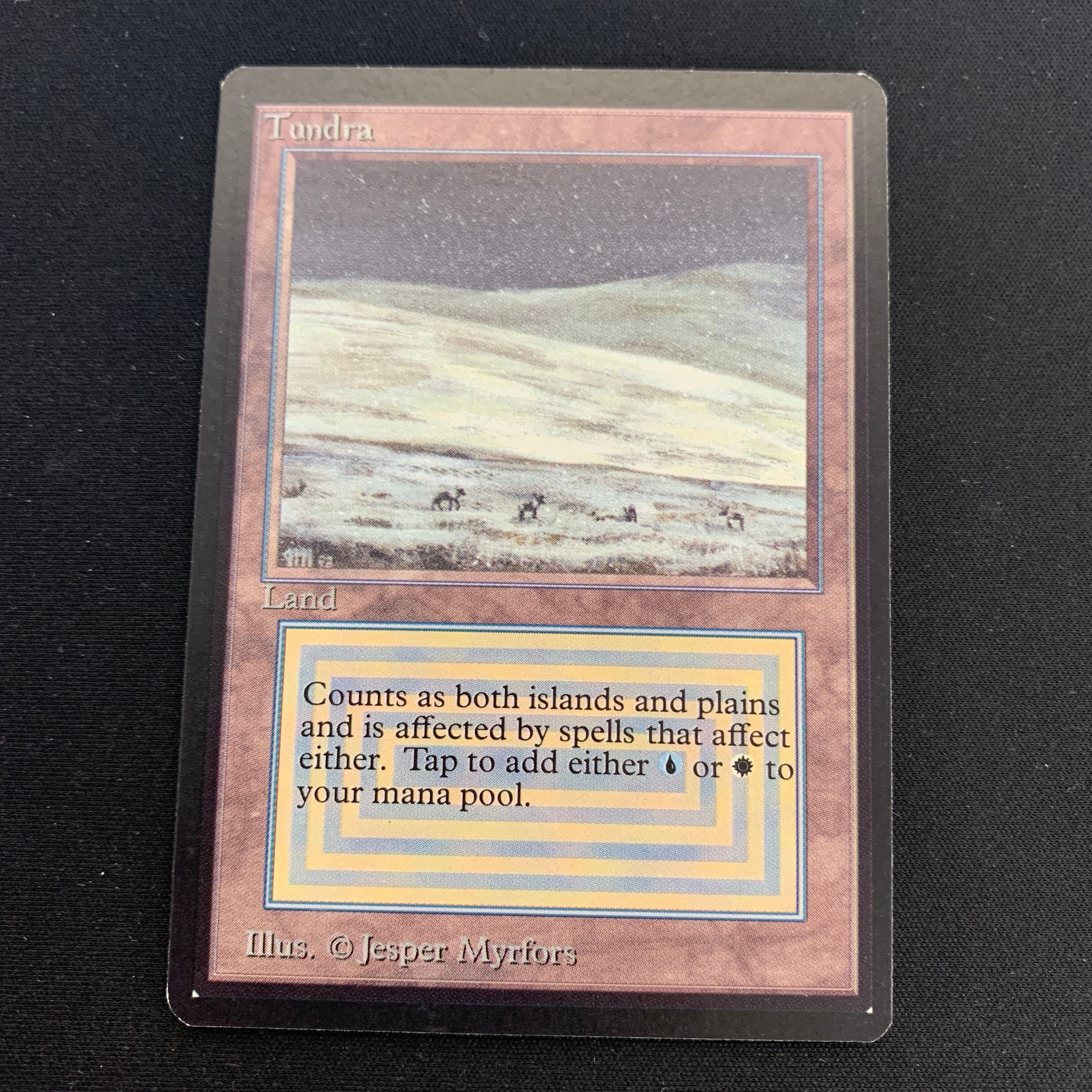 MTG Singles - Tundra - Beta -