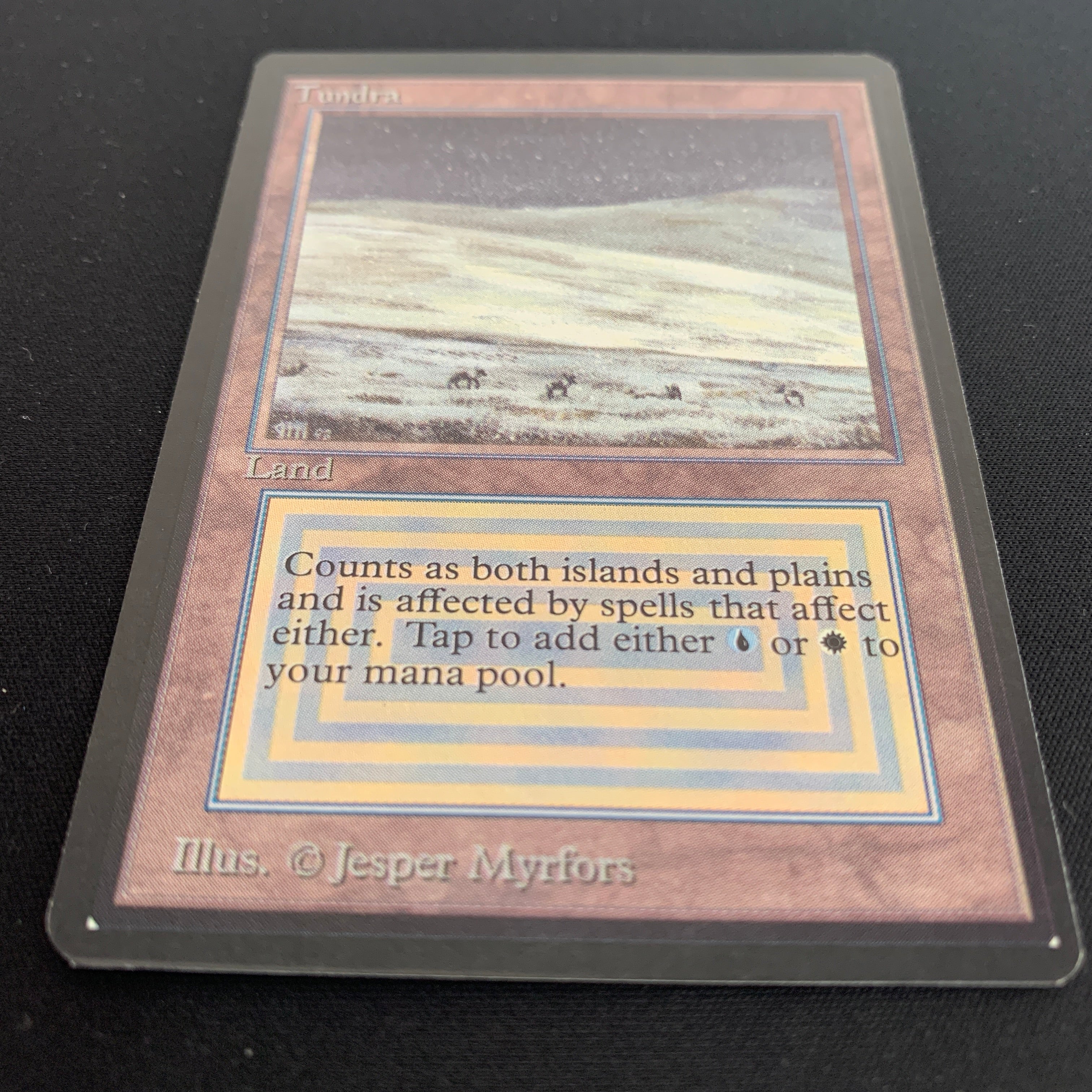 MTG Singles - Tundra - Beta -