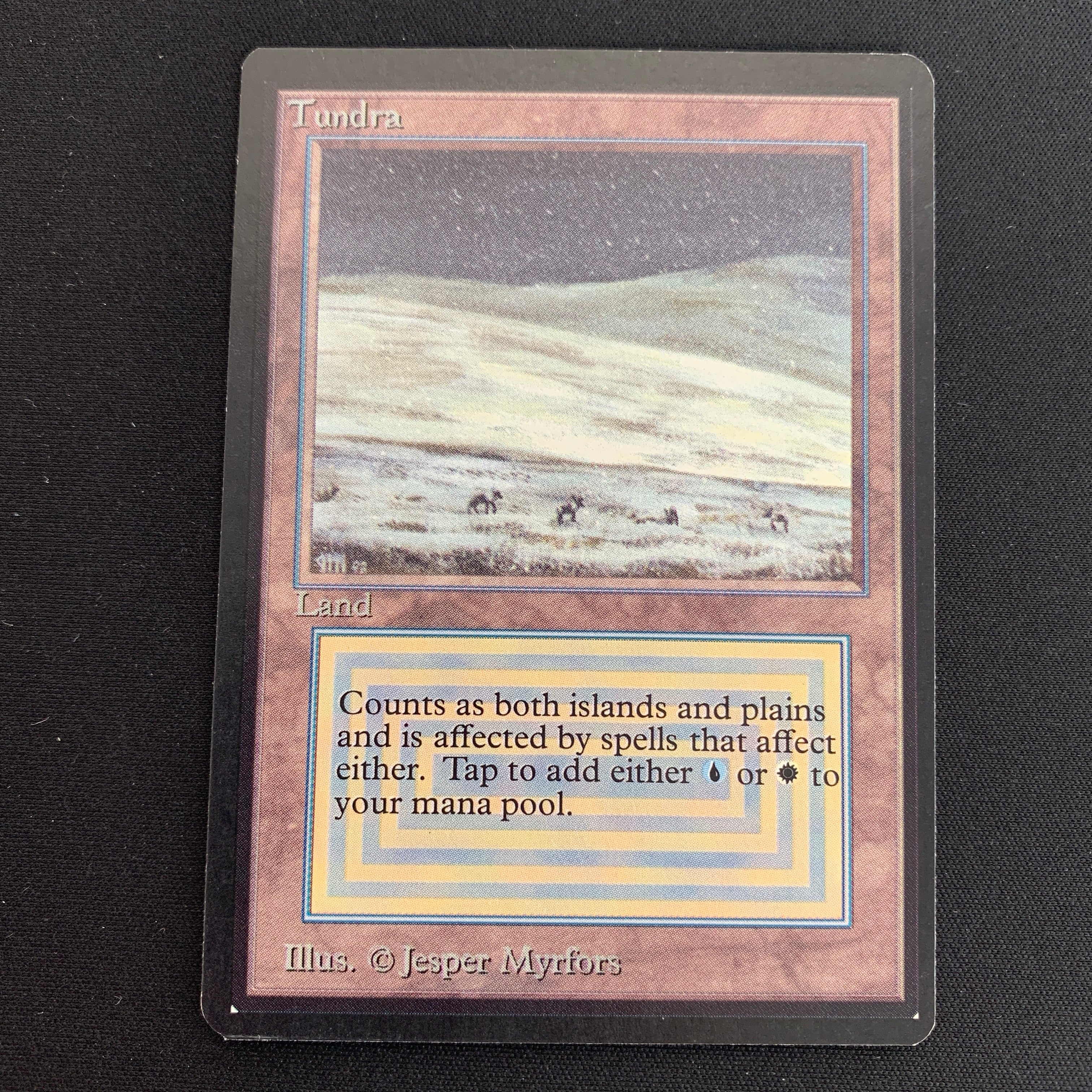 MTG Singles - Tundra - Beta -