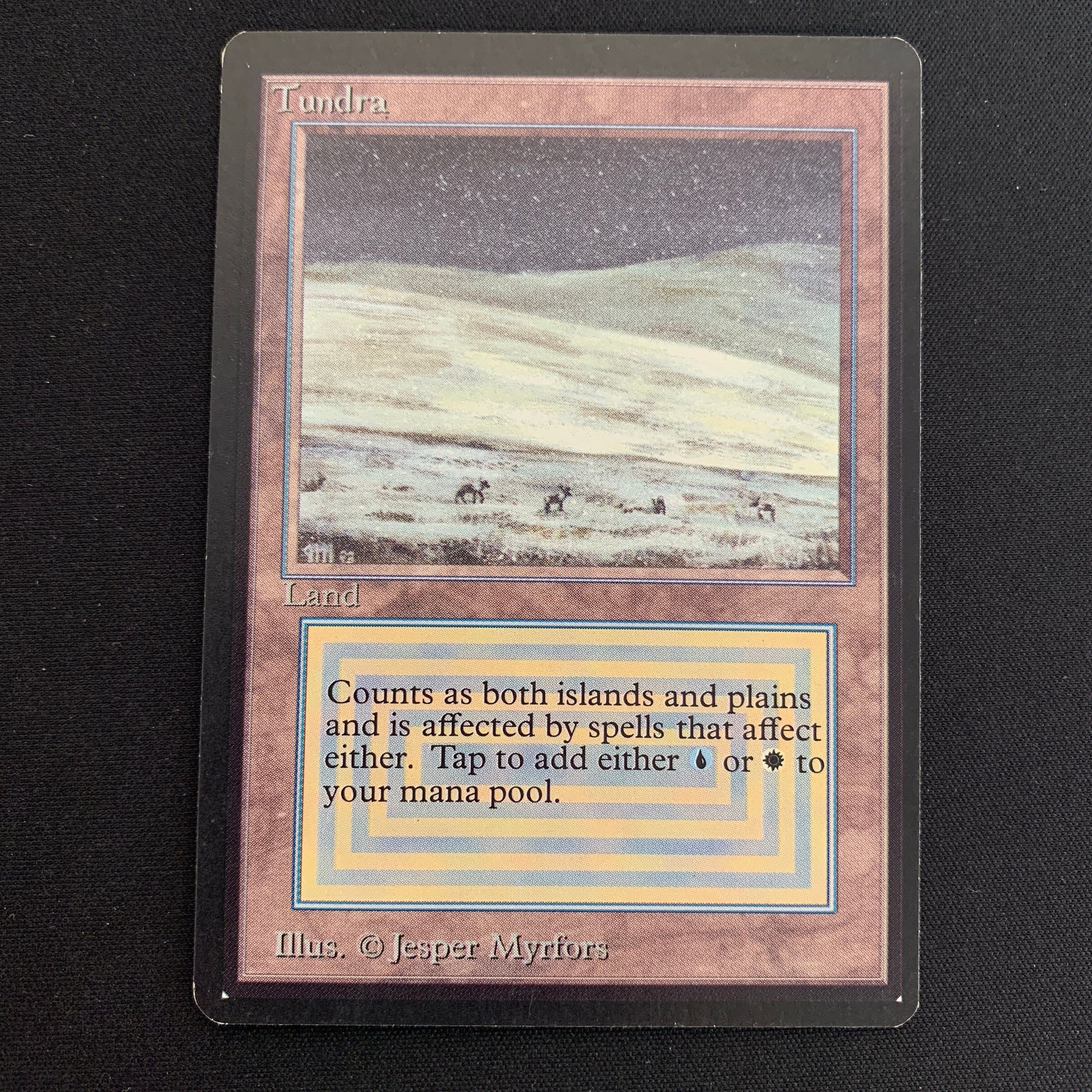 MTG Singles - Tundra - Beta -