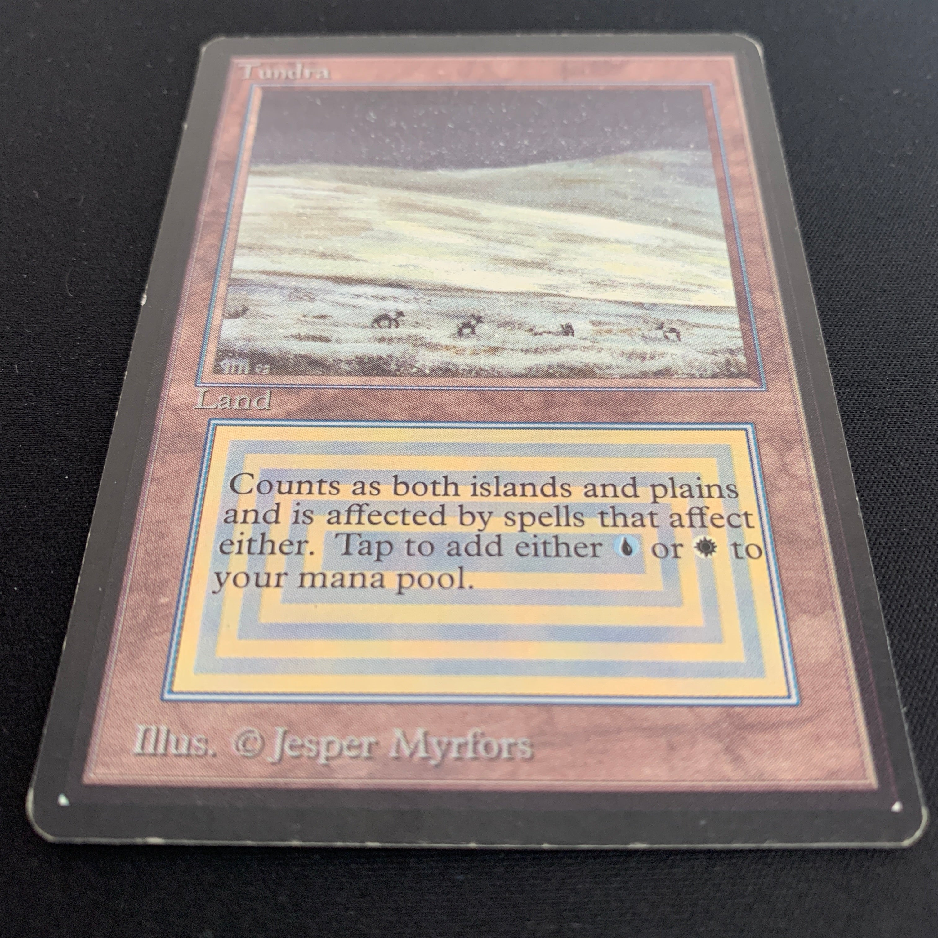 MTG Singles - Tundra - Beta -