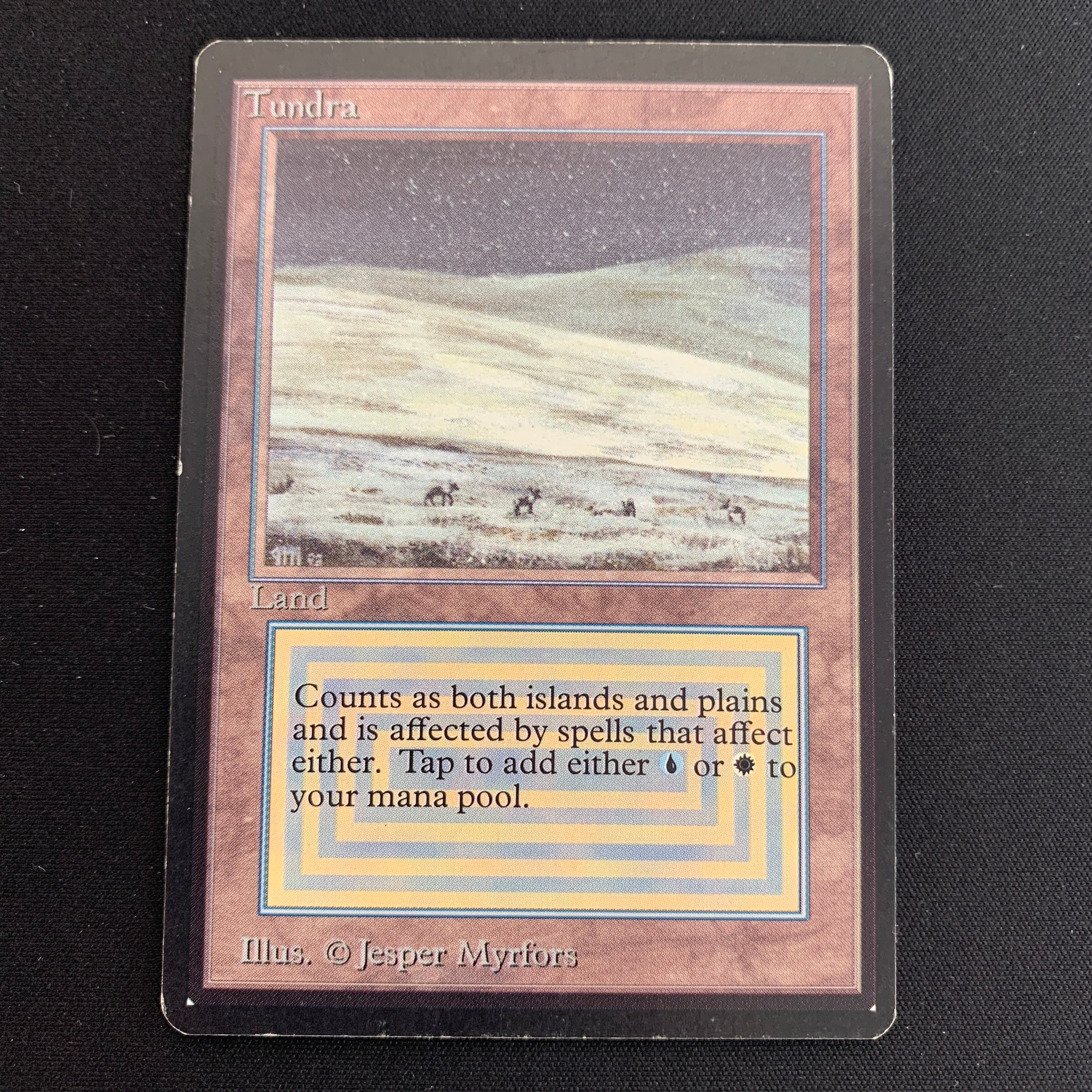 MTG Singles - Tundra - Beta -