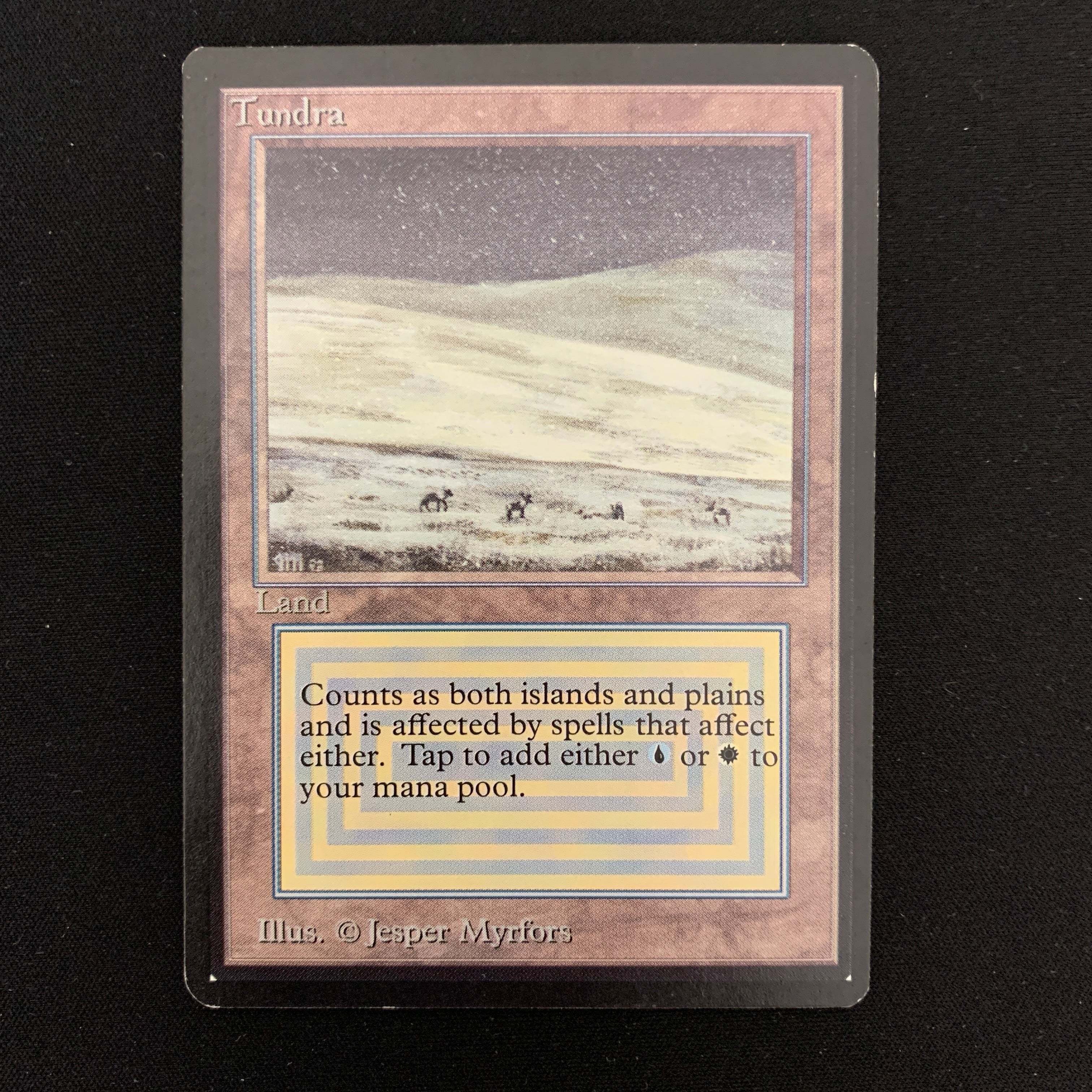 MTG Singles - Tundra - Beta -