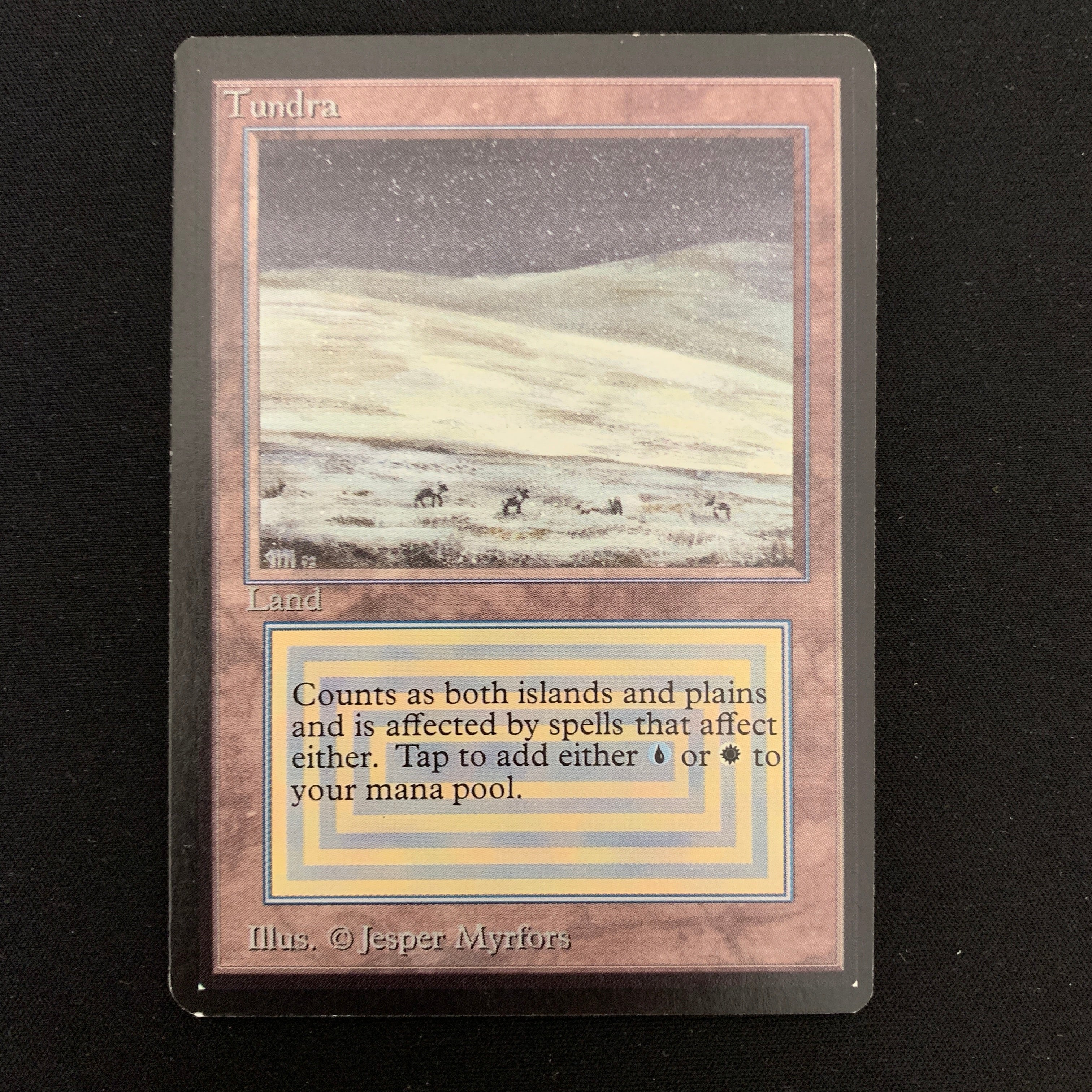 MTG Singles - Tundra - Beta -