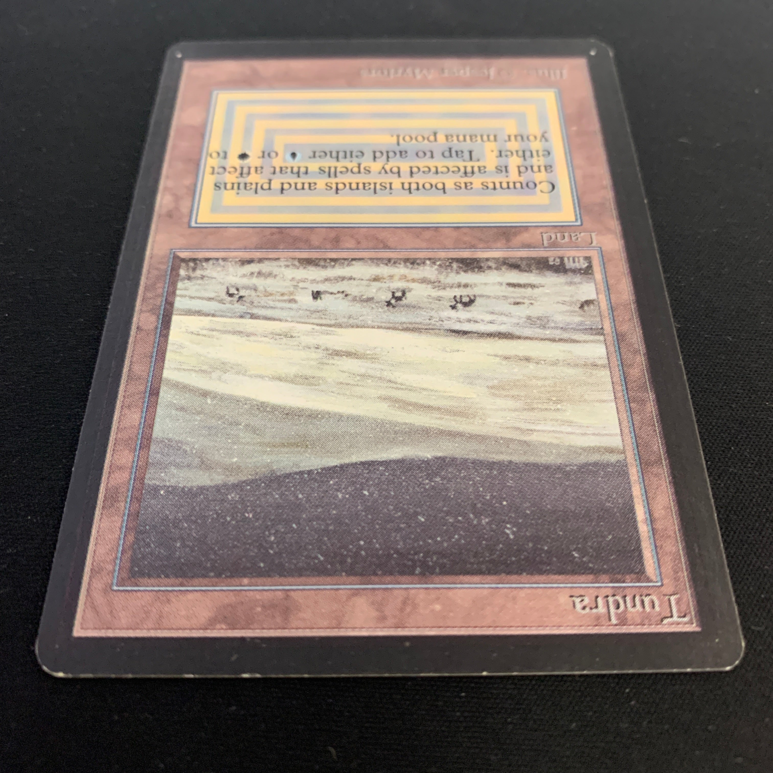 MTG Singles - Tundra - Beta -