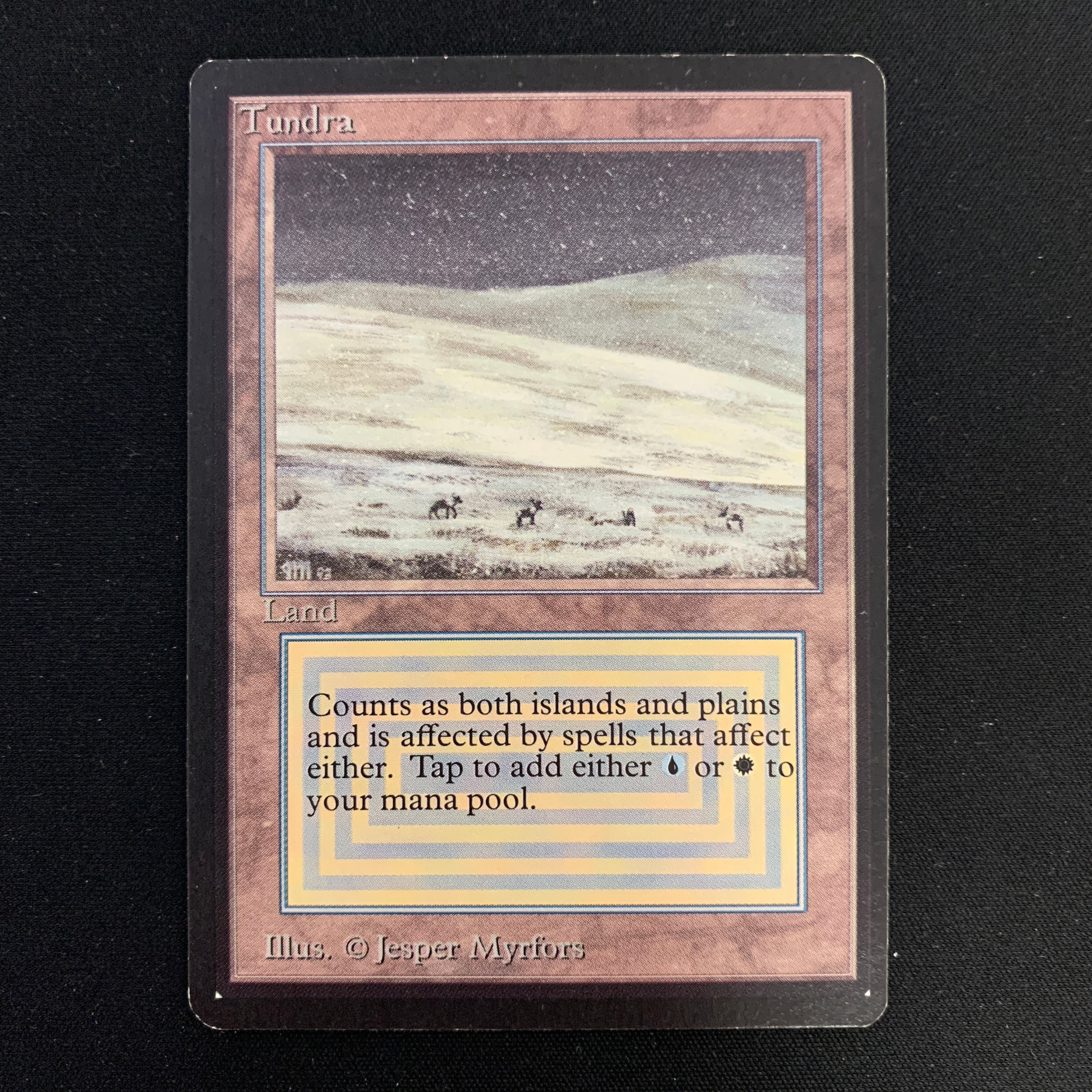 MTG Singles - Tundra - Beta -