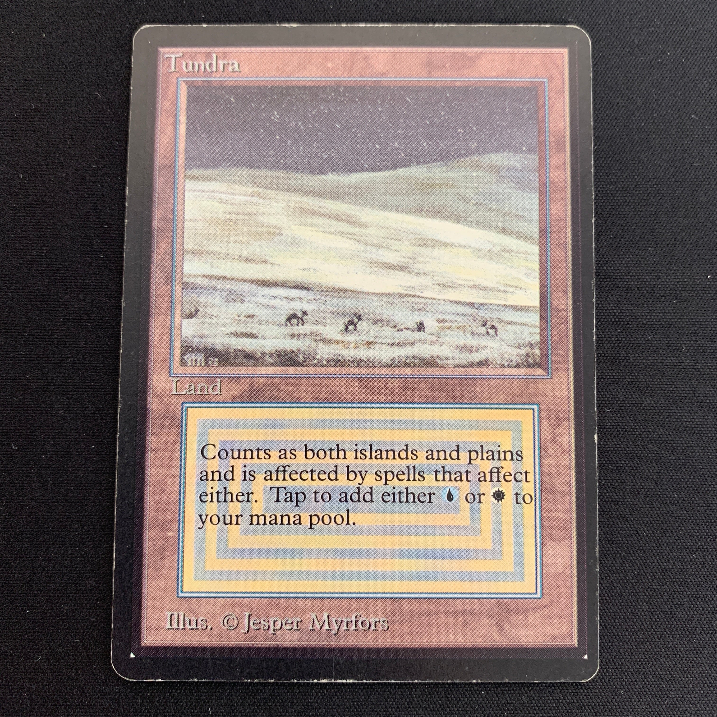 MTG Singles - Tundra - Beta -