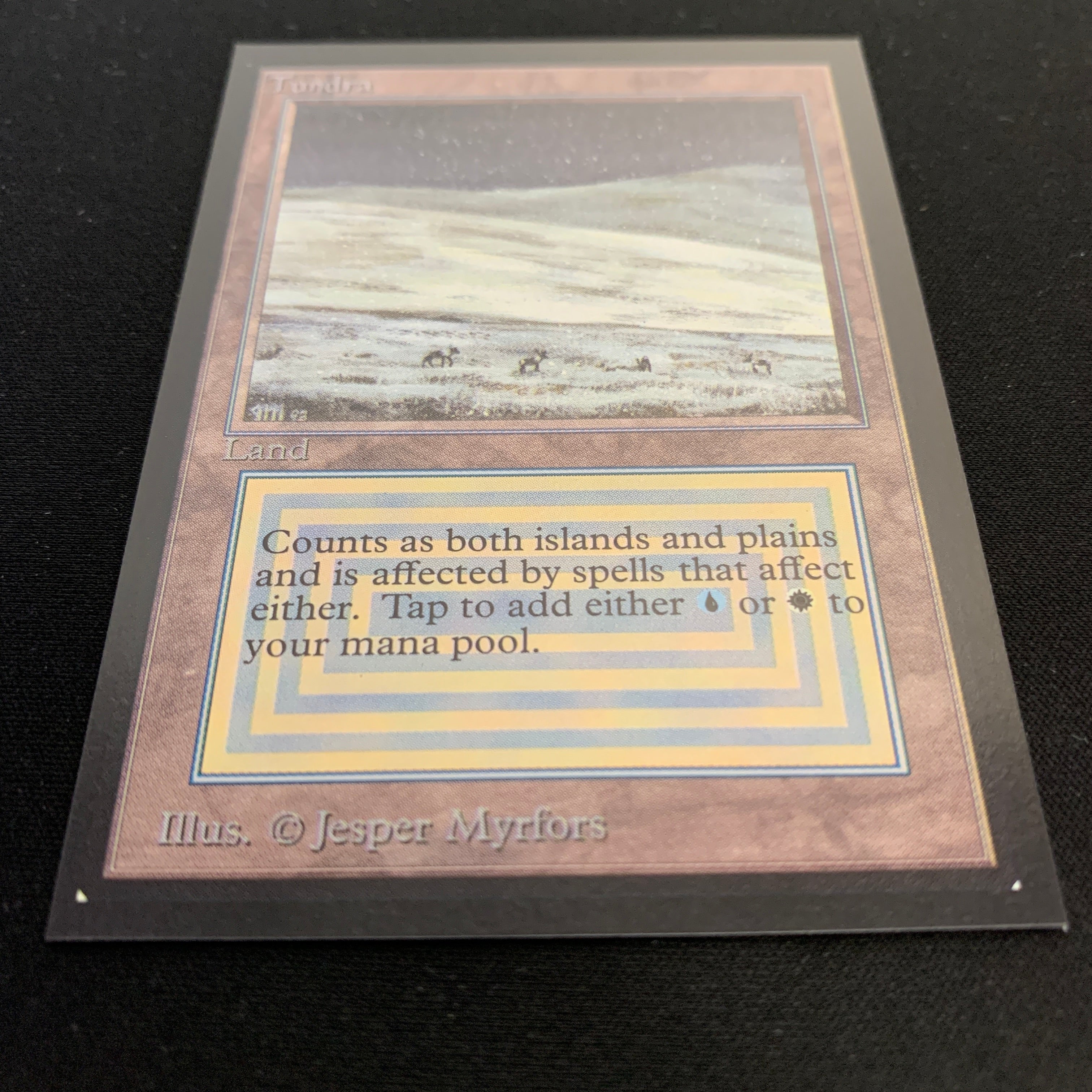 MTG Singles - Tundra - Collectors' Edition -