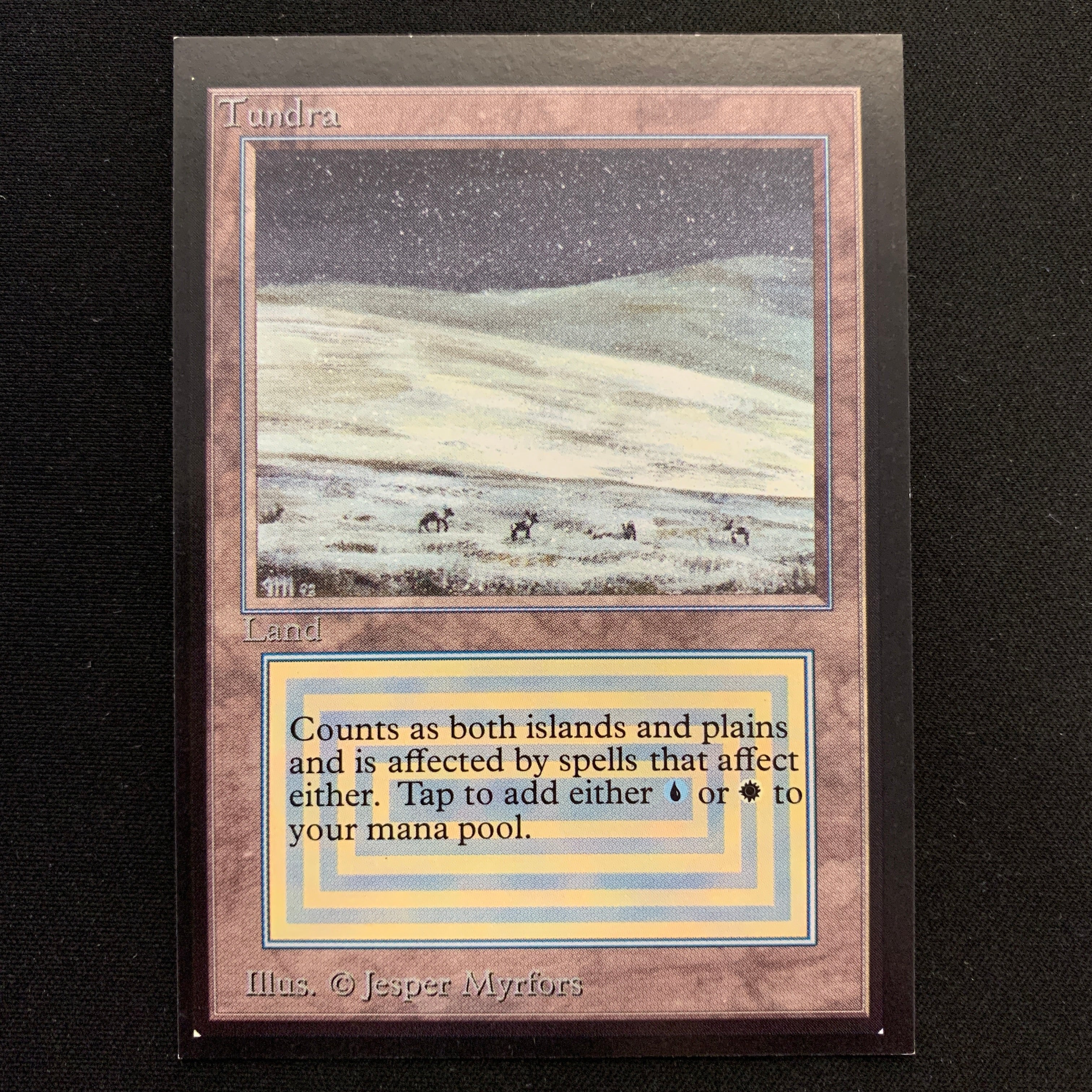 MTG Singles - Tundra - Collectors' Edition -