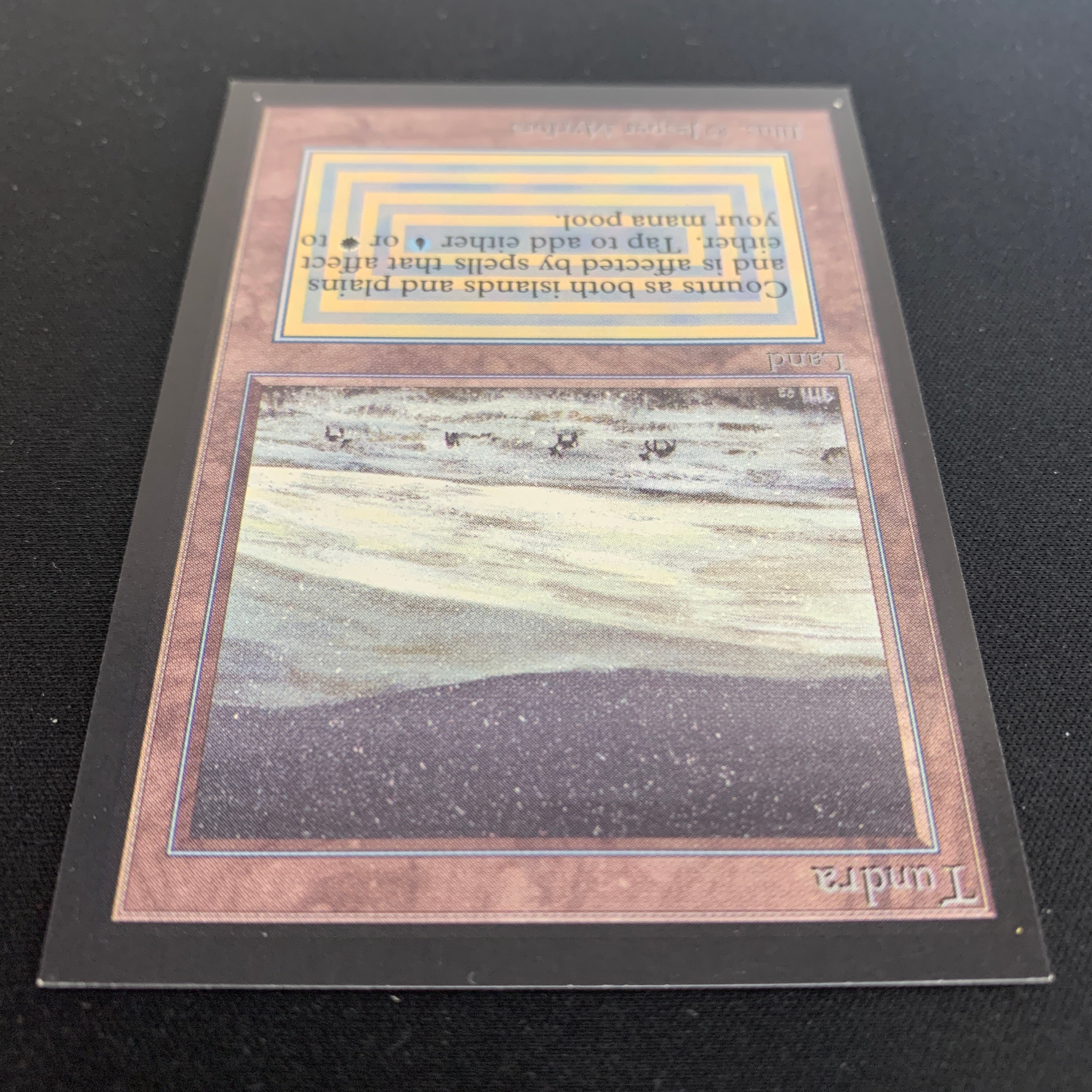 MTG Singles - Tundra - Collectors' Edition -