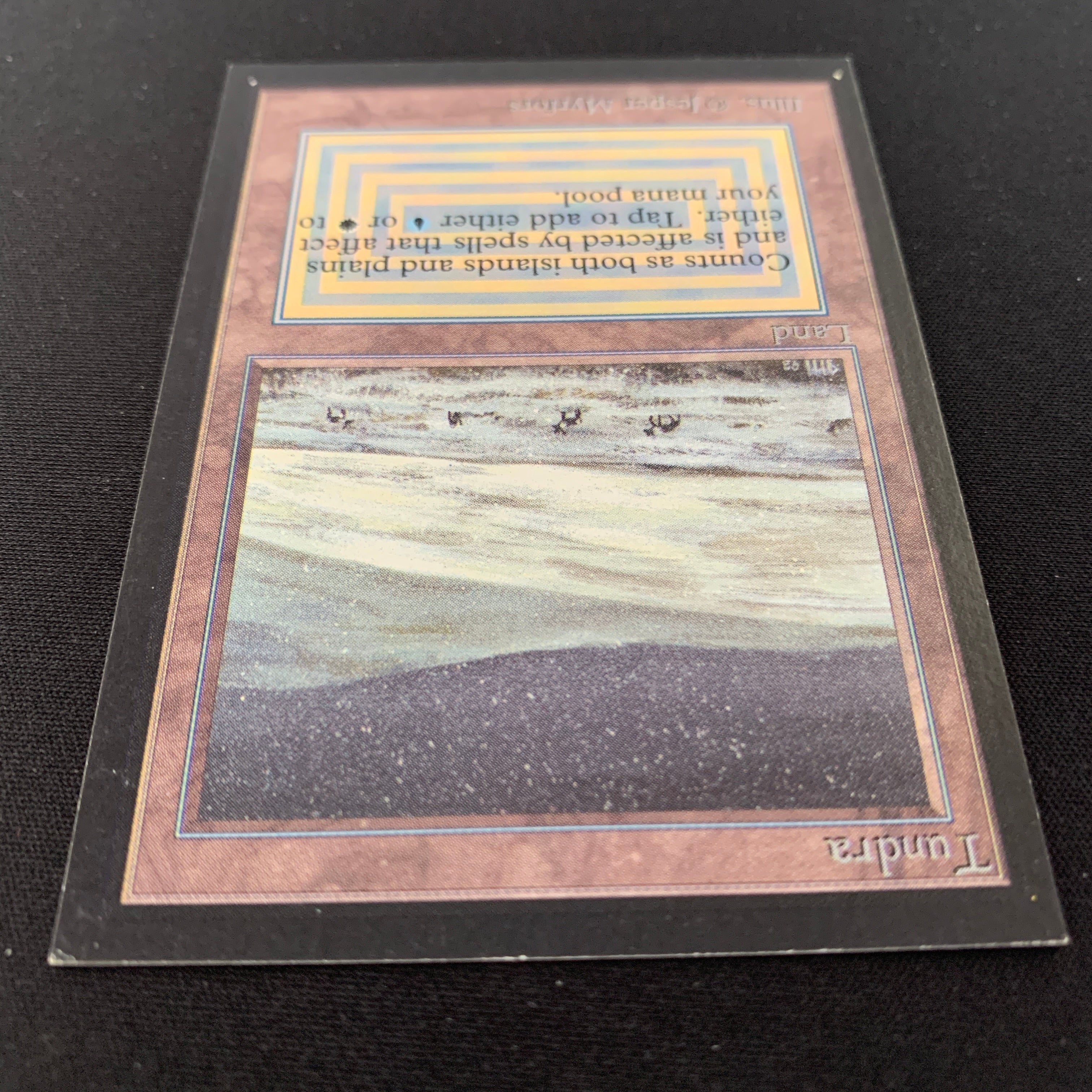 MTG Singles - Tundra - Collectors' Edition -
