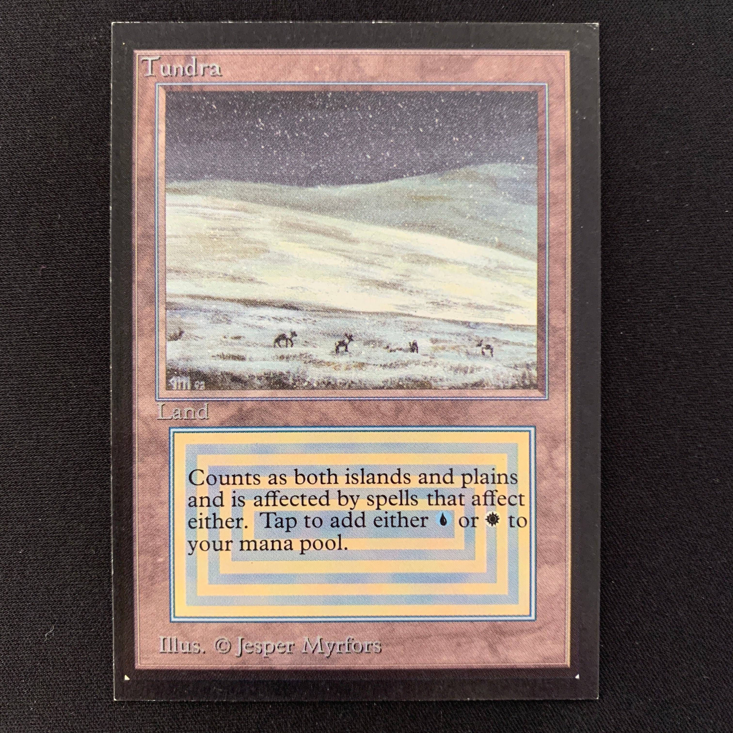 MTG Singles - Tundra - Collectors' Edition -