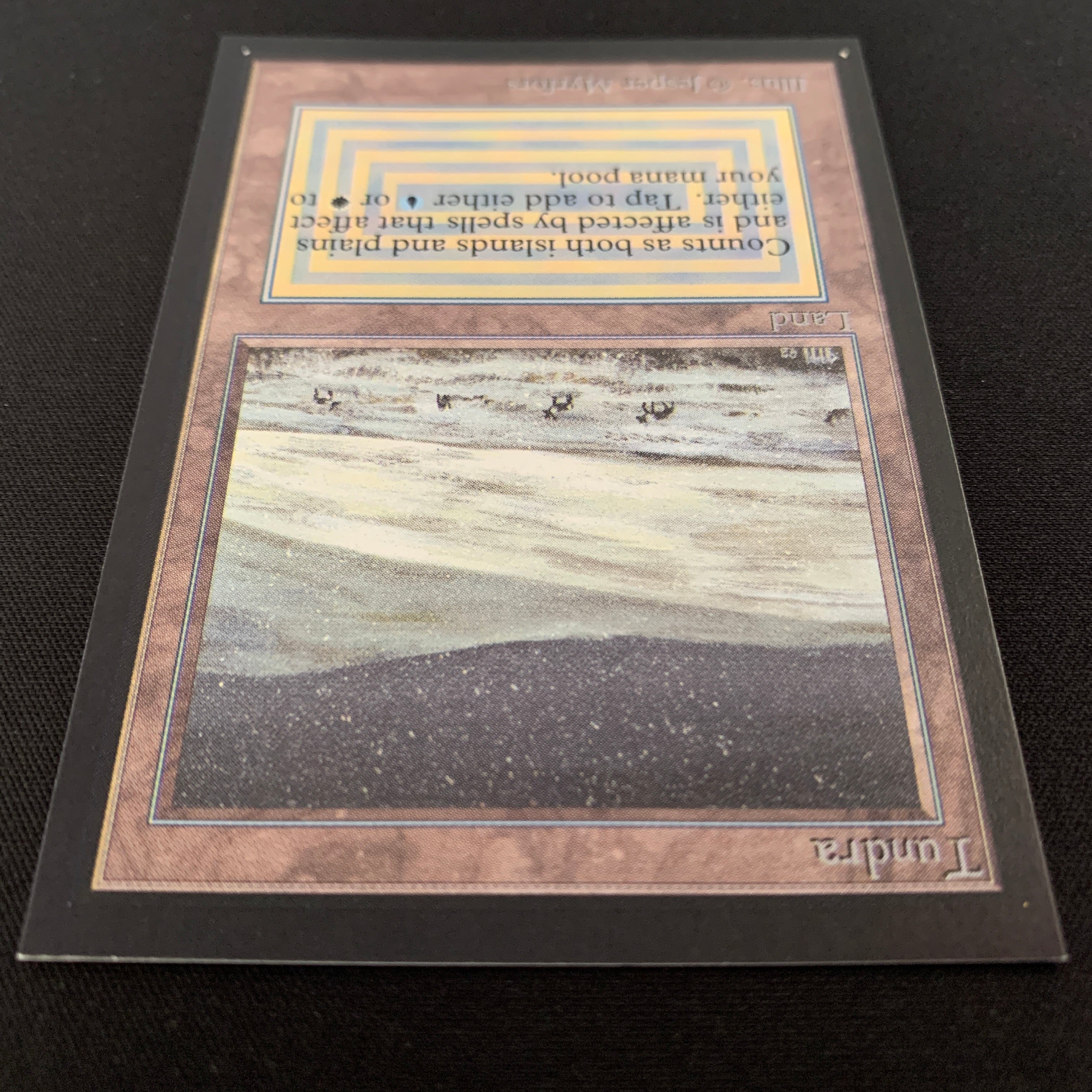MTG Singles - Tundra - Collectors' Edition -