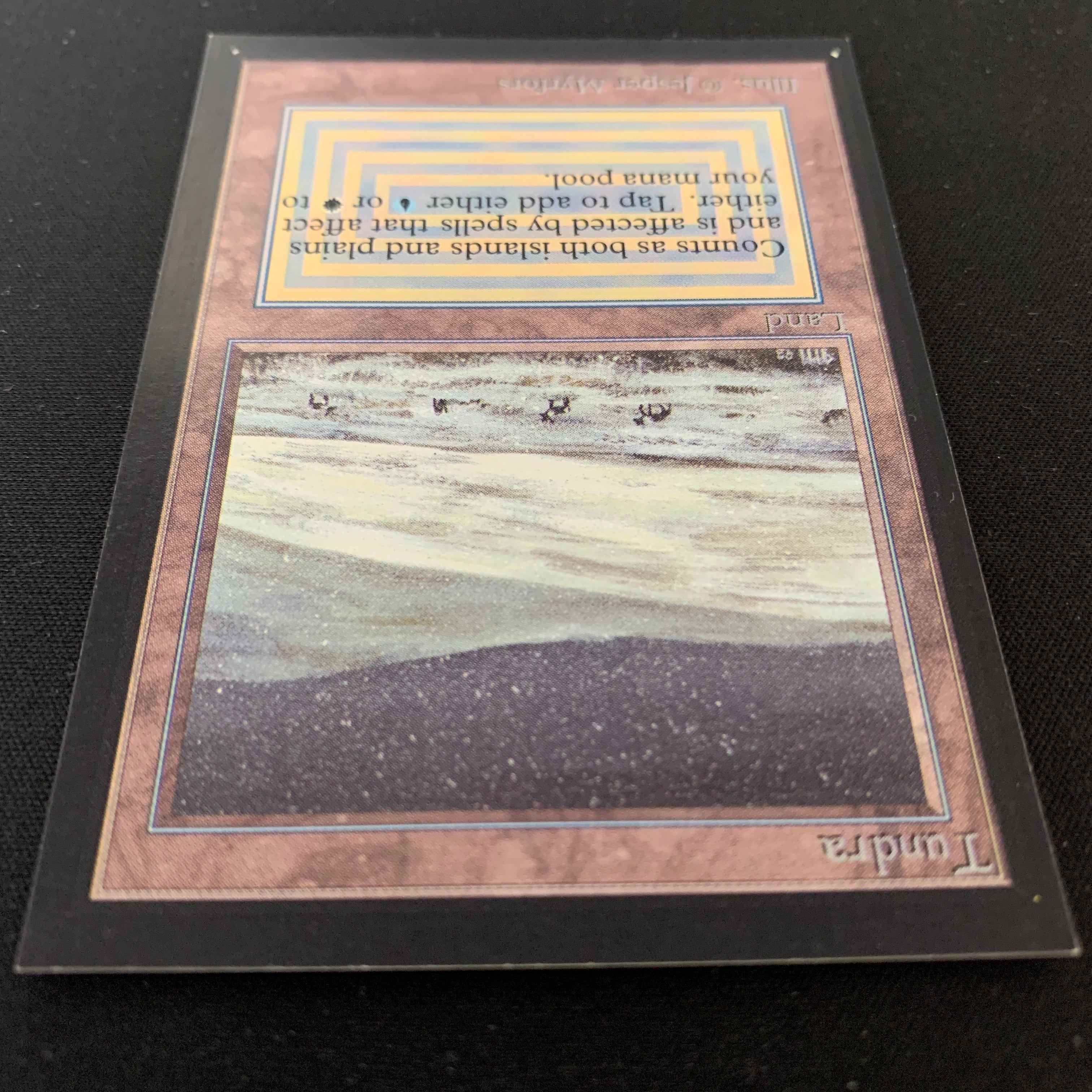 MTG Singles - Tundra - Collectors' Edition -