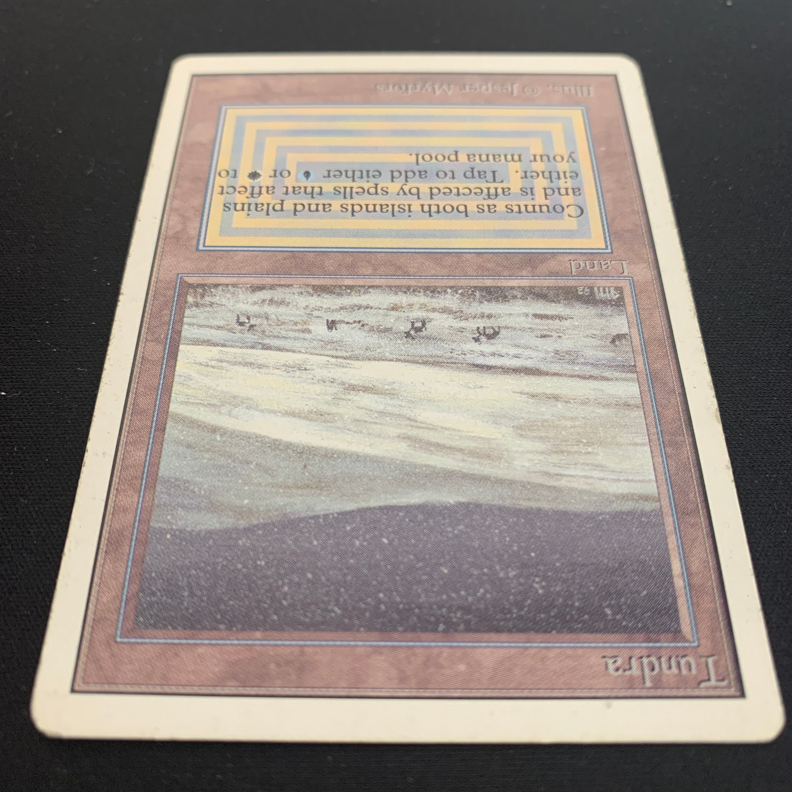 MTG Singles - Tundra - Unlimited -