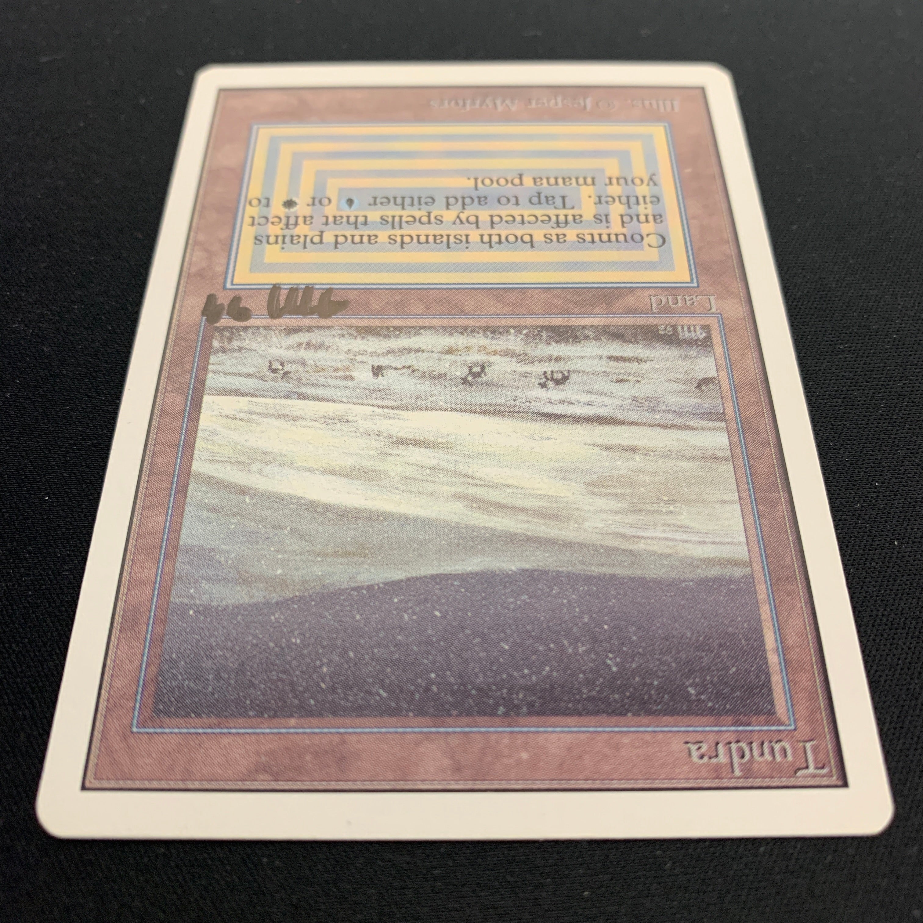 MTG Singles - Tundra - Unlimited -