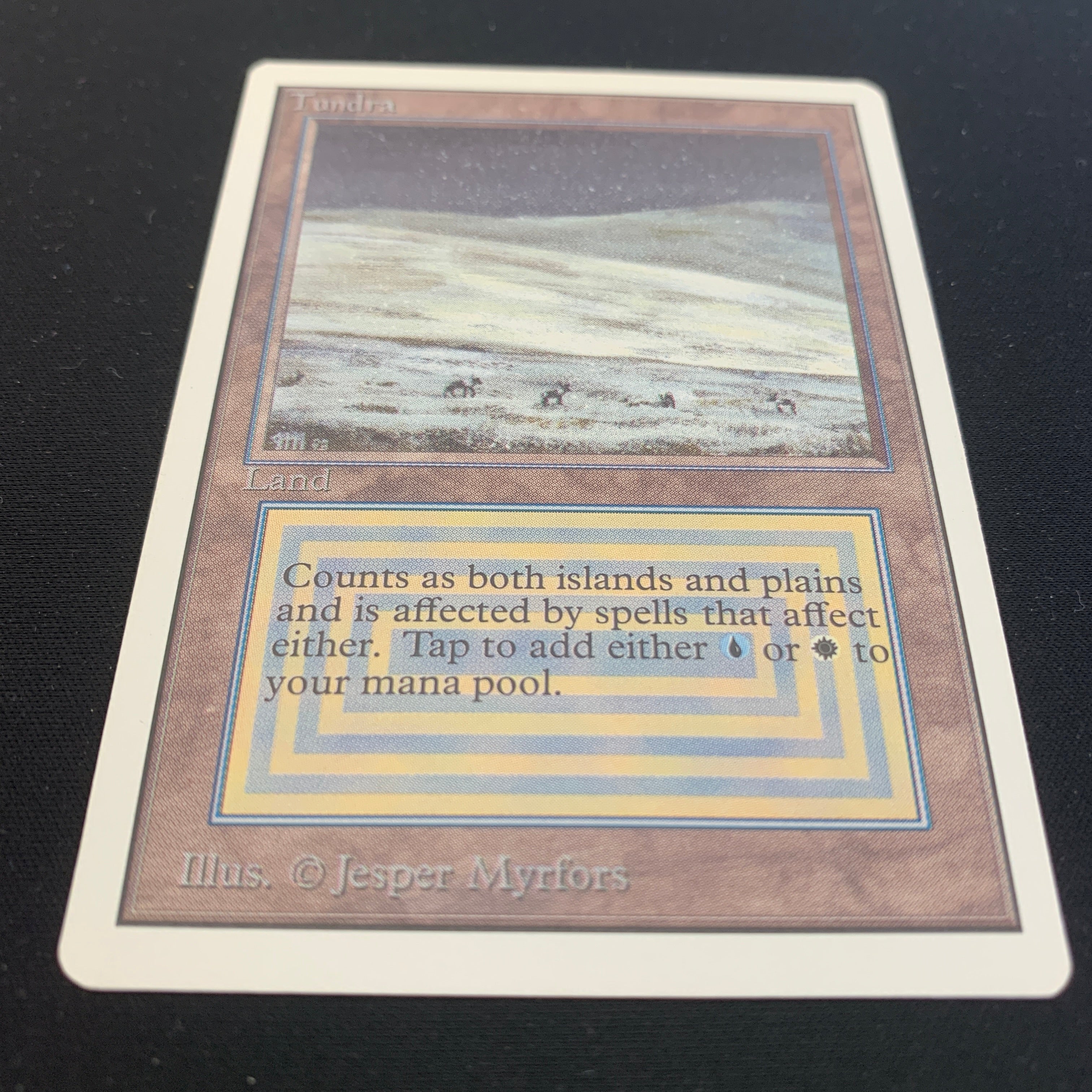 MTG Singles - Tundra - Unlimited -