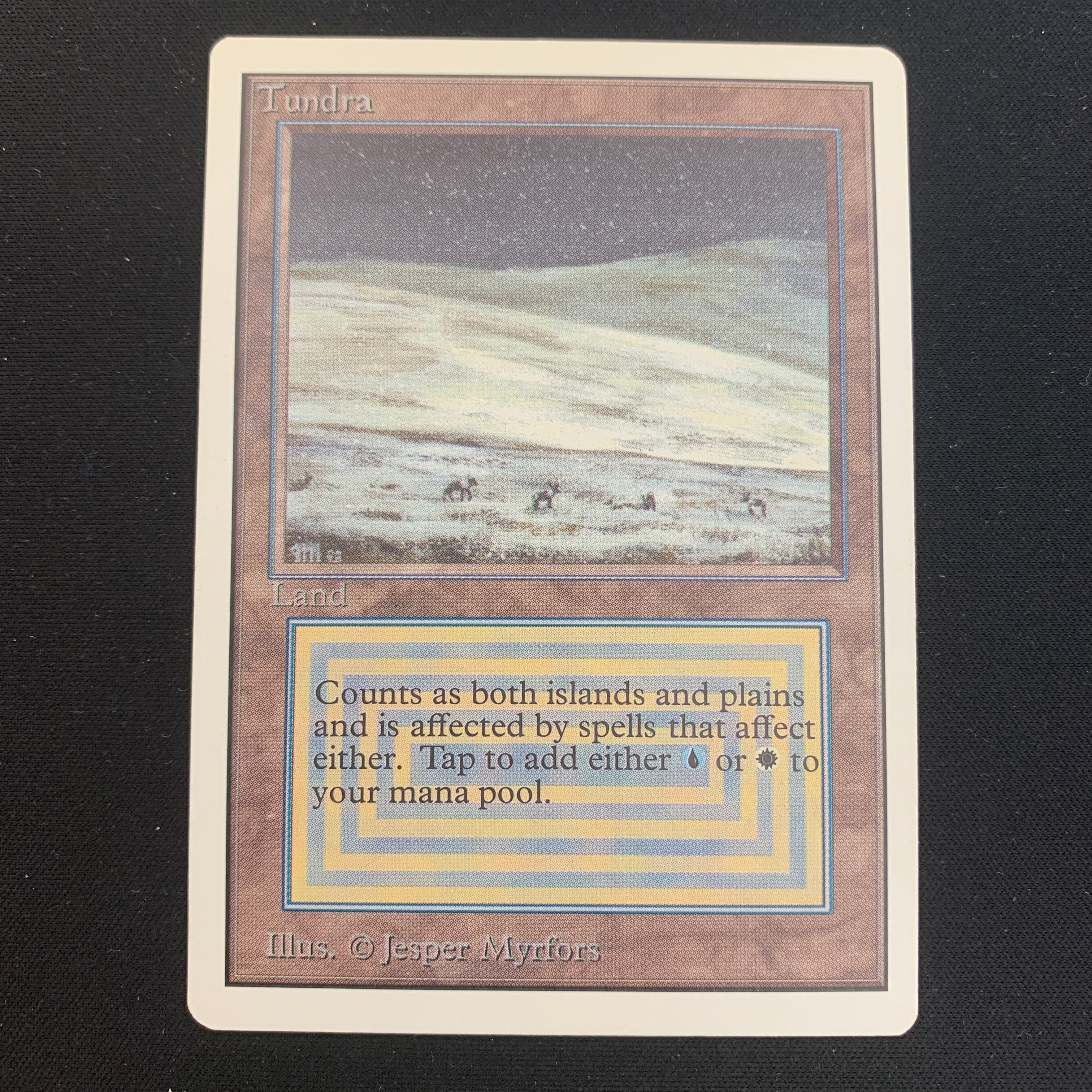 MTG Singles - Tundra - Unlimited -
